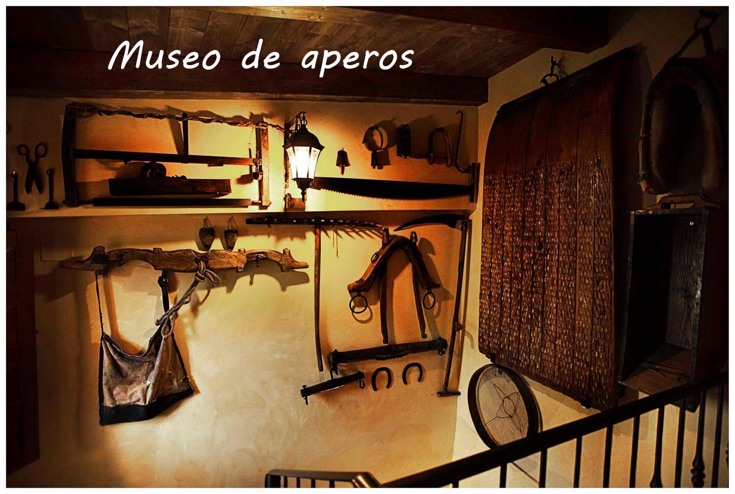 Photo 50