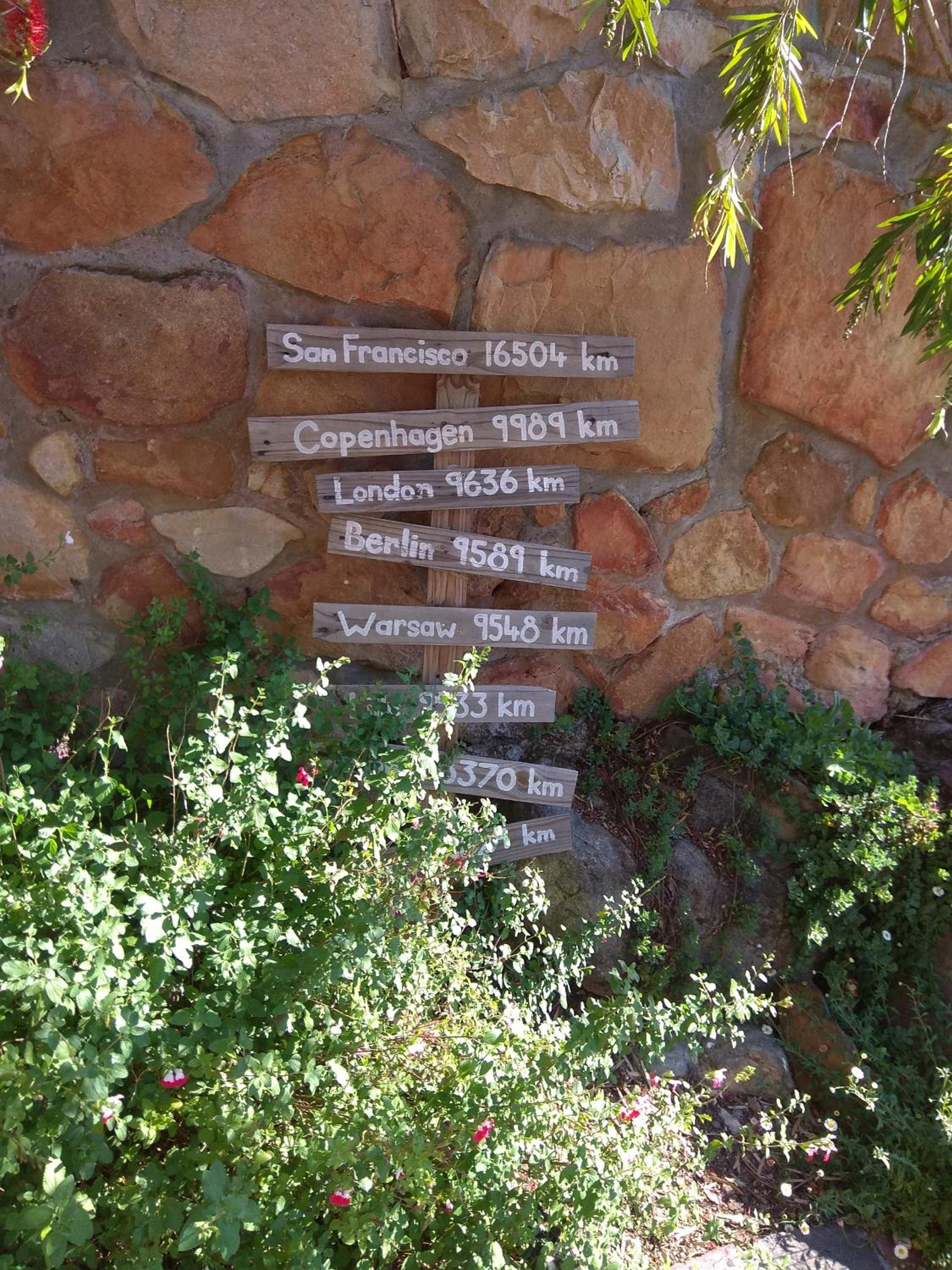Photo 41