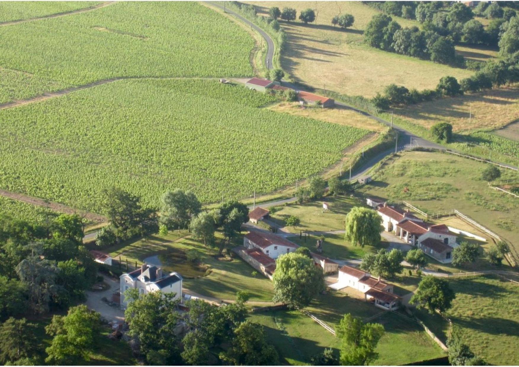 Domaine du Chêne Crucy view 2