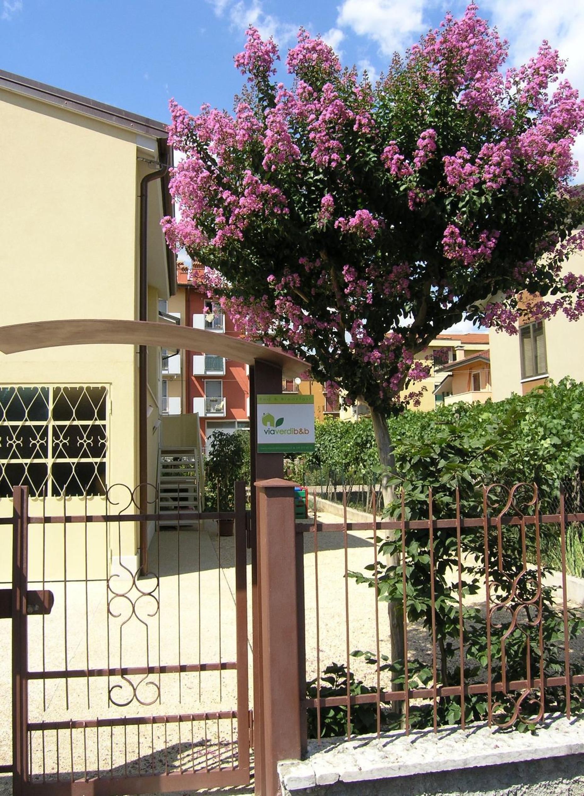 Photo 9