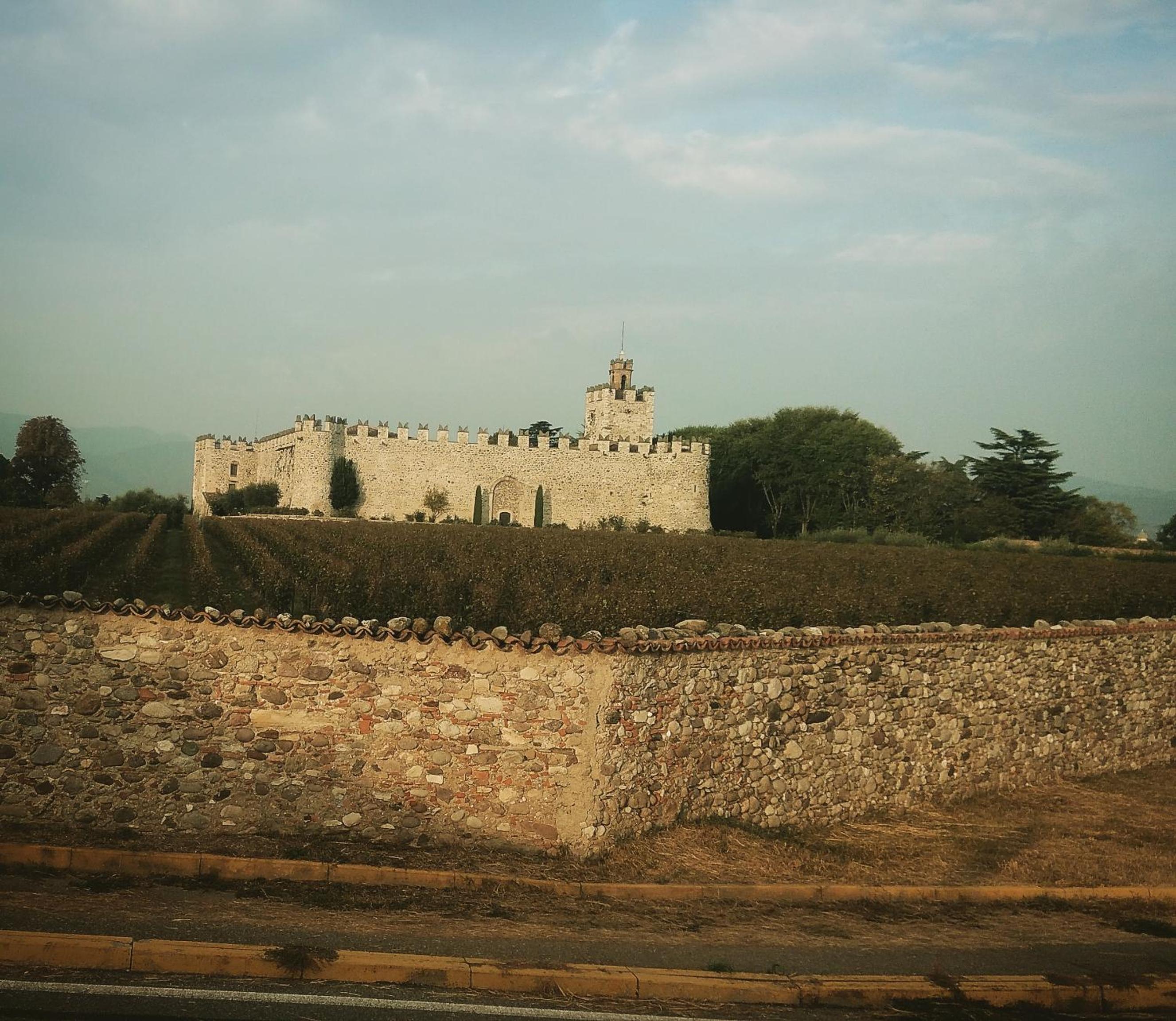 Photo 31