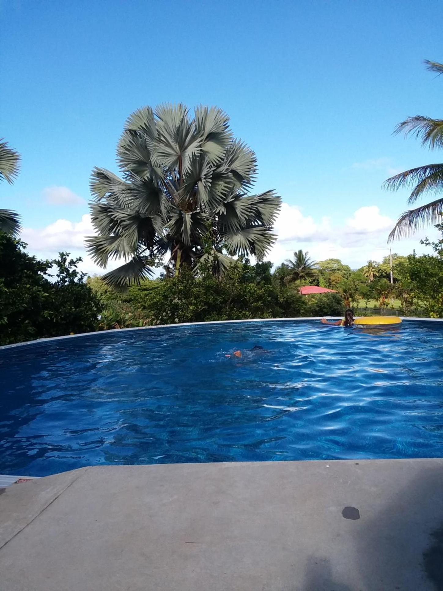 Island Goode's - Luxury Adult Only Accommodation near Hilo