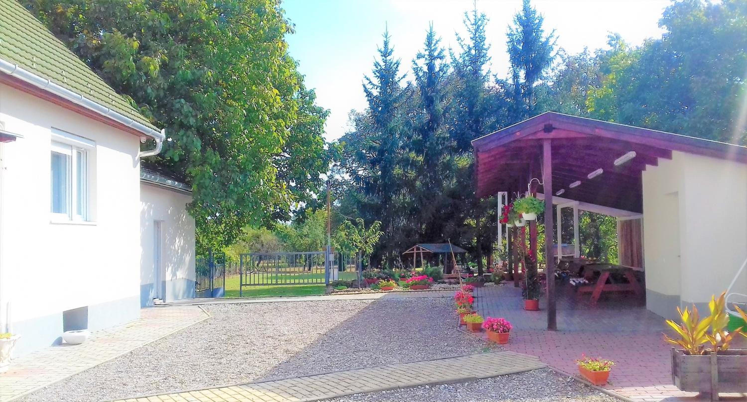 Photo 29