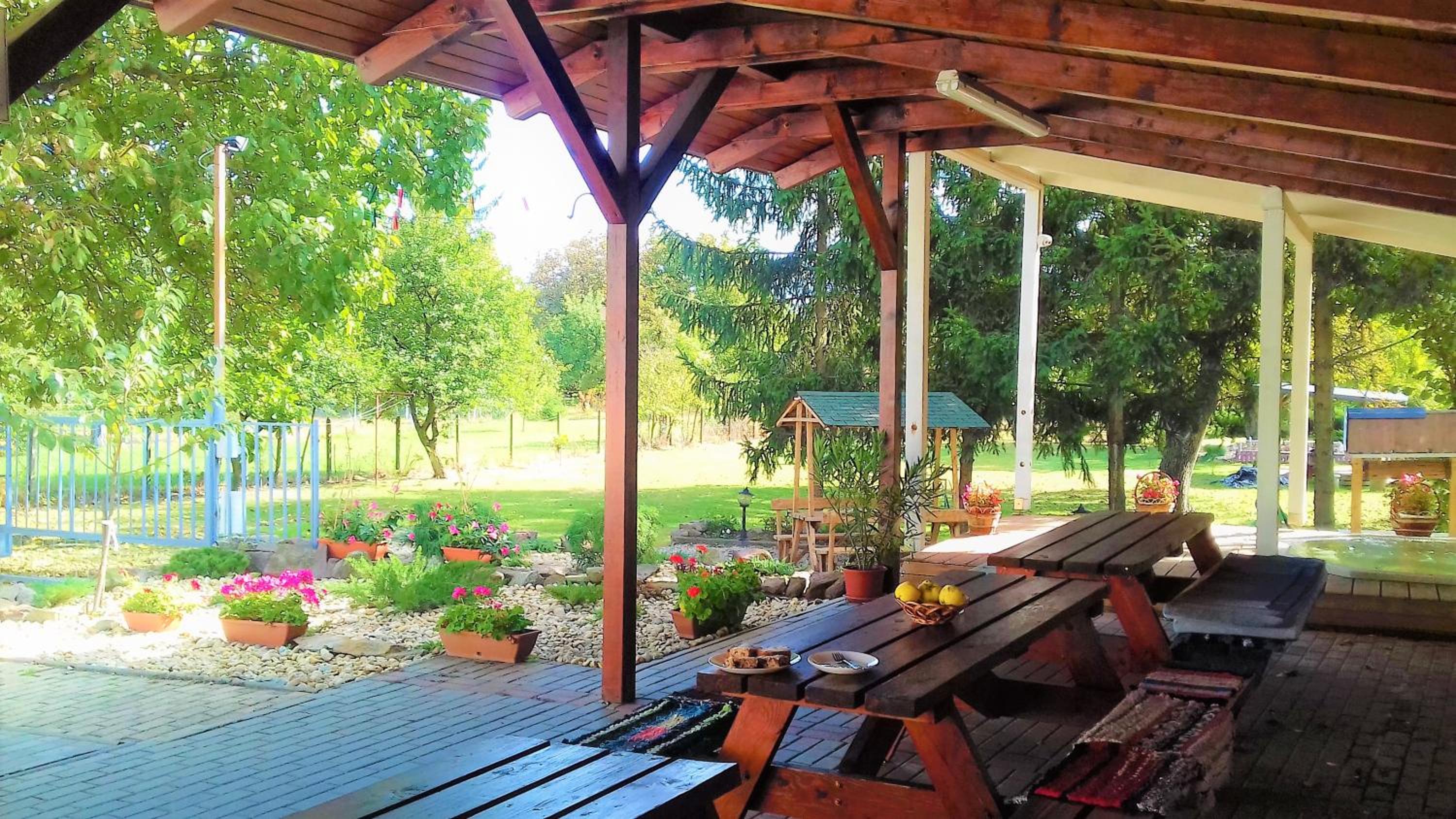 Photo 10