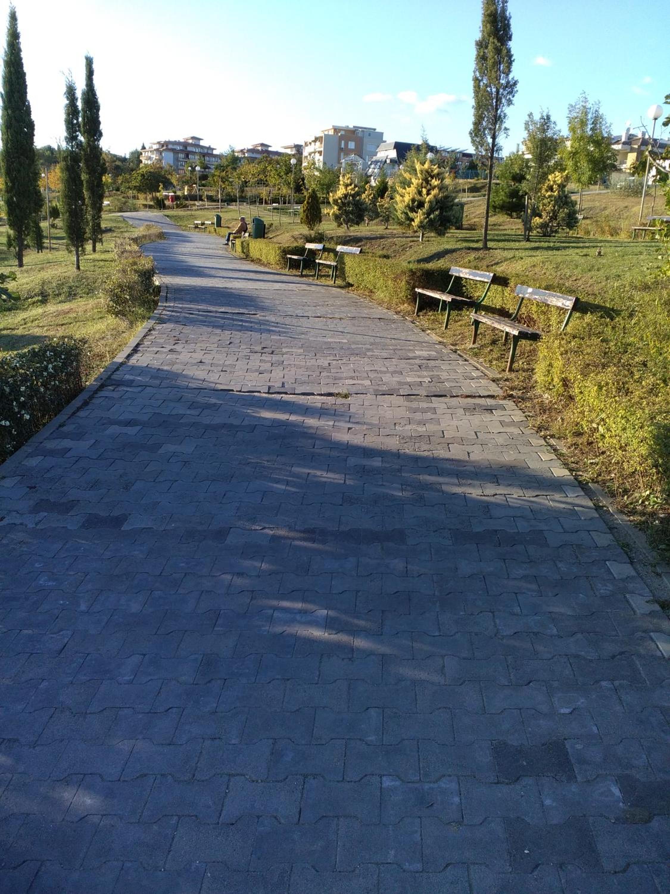 Photo 52