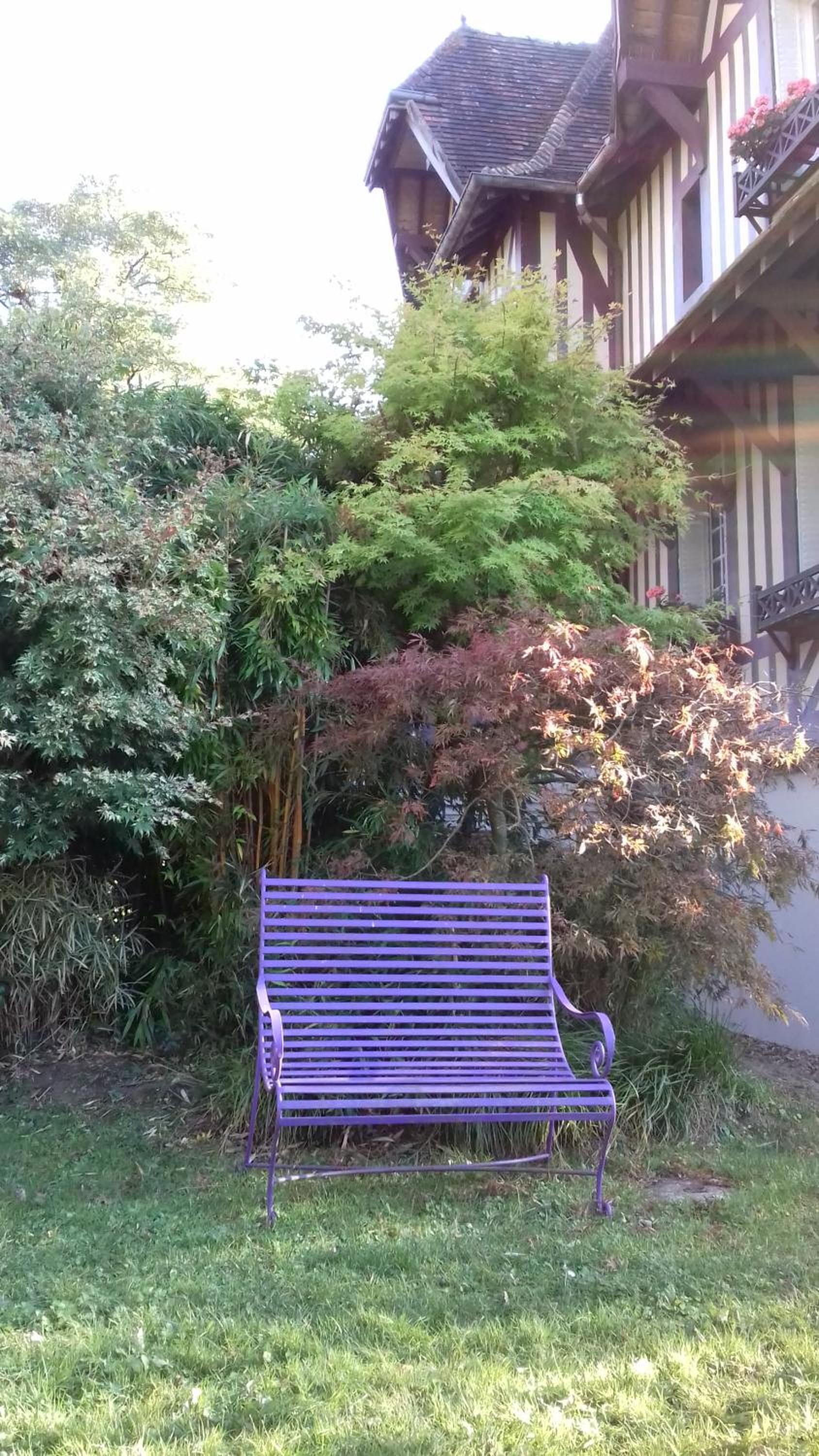 Photo 21