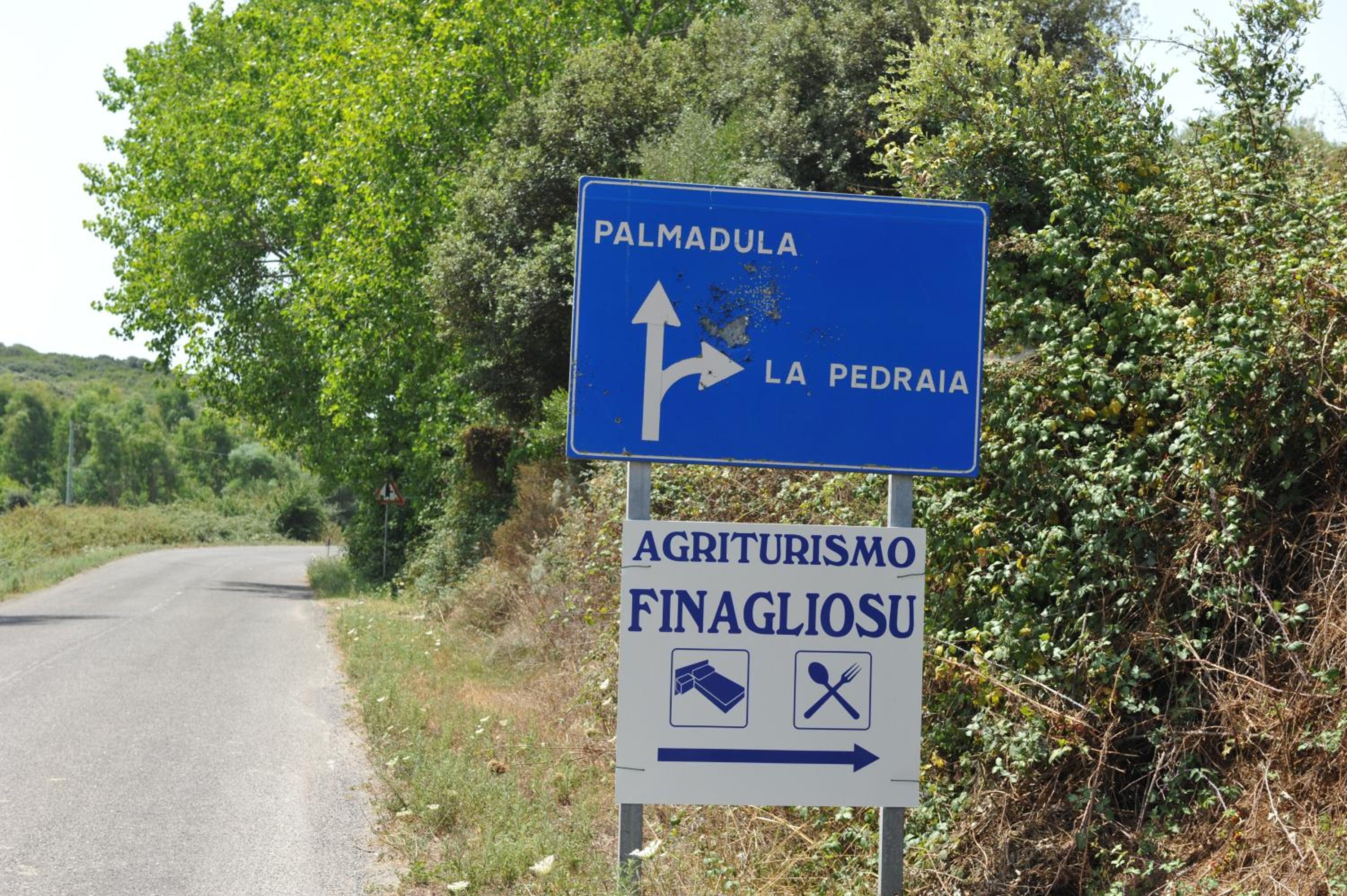 Photo 44