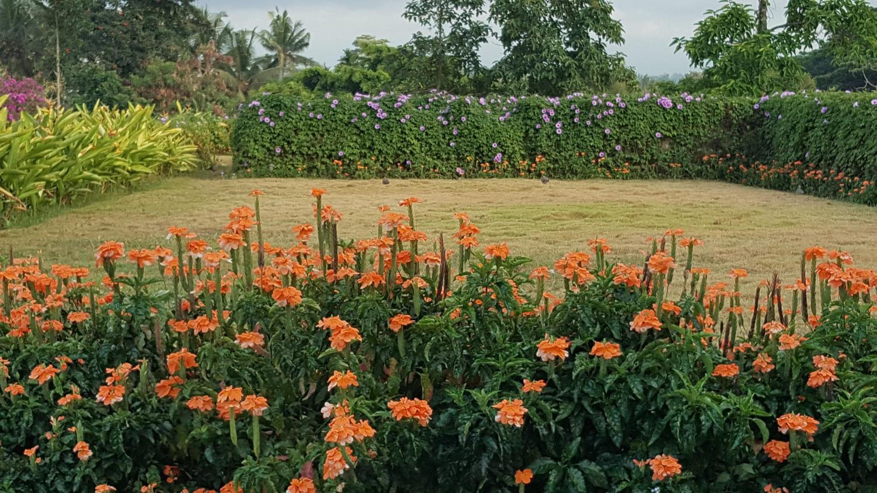 Ubud Wana Resort