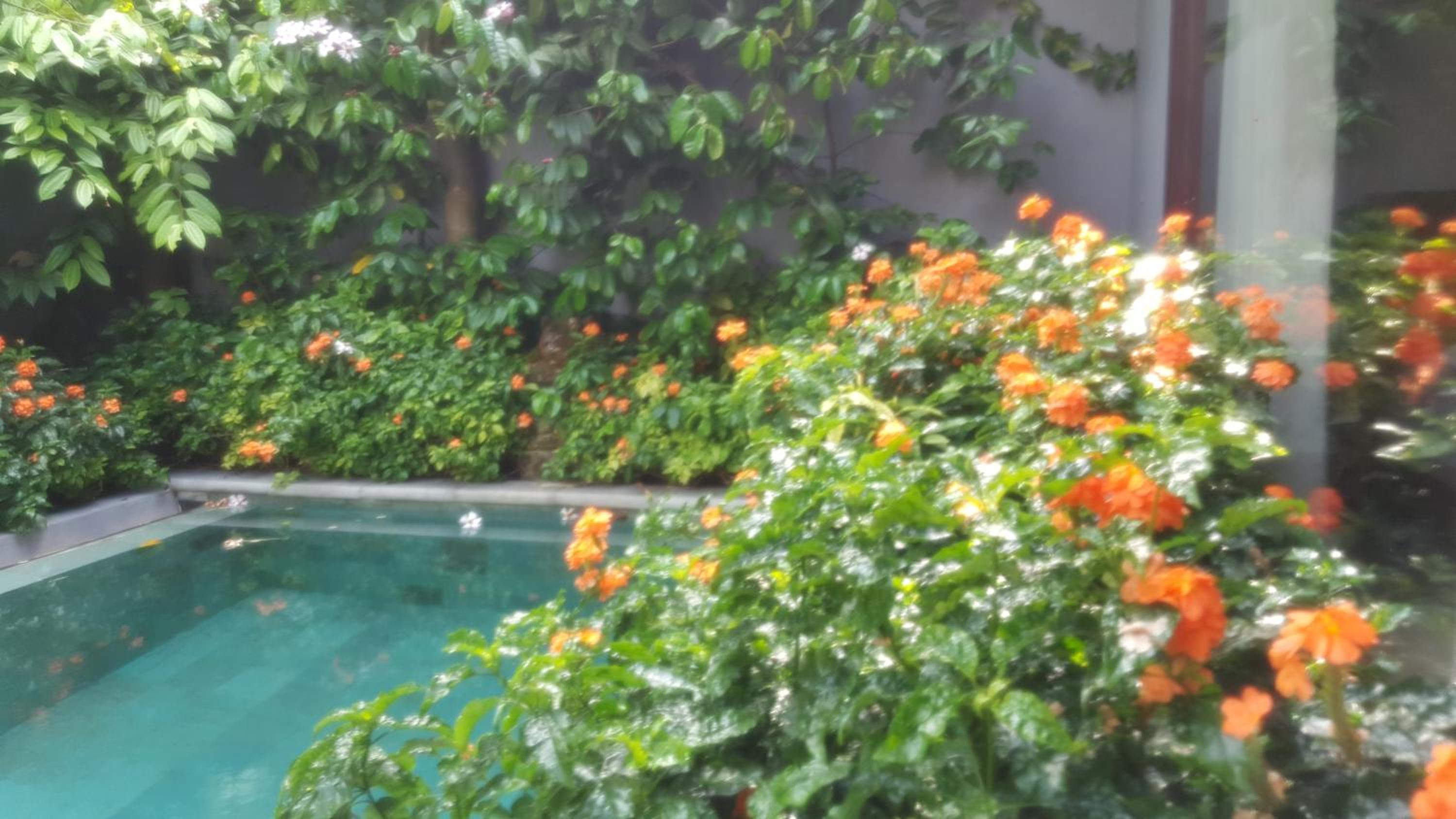 Ubud Wana Resort