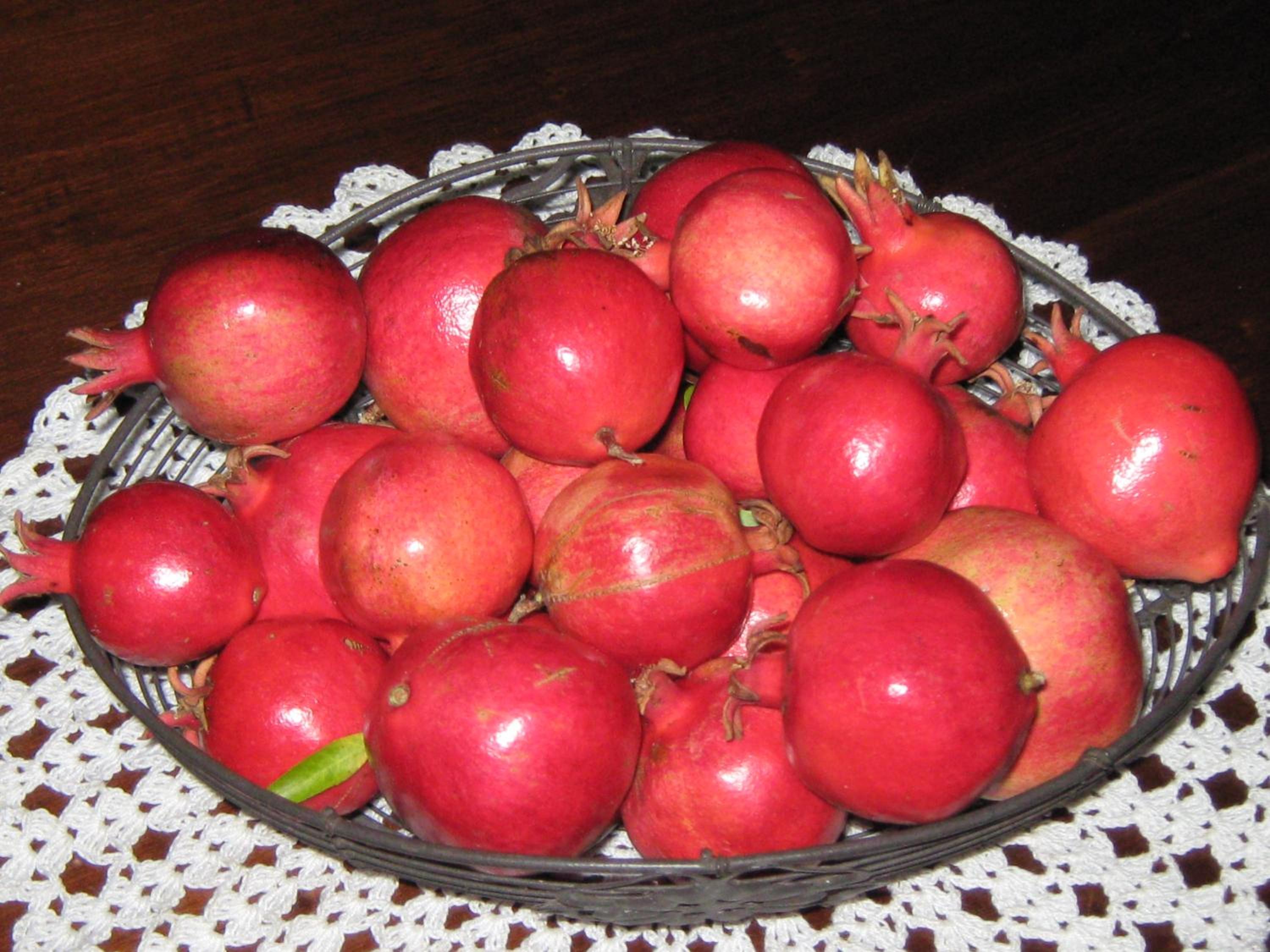 Photo 20