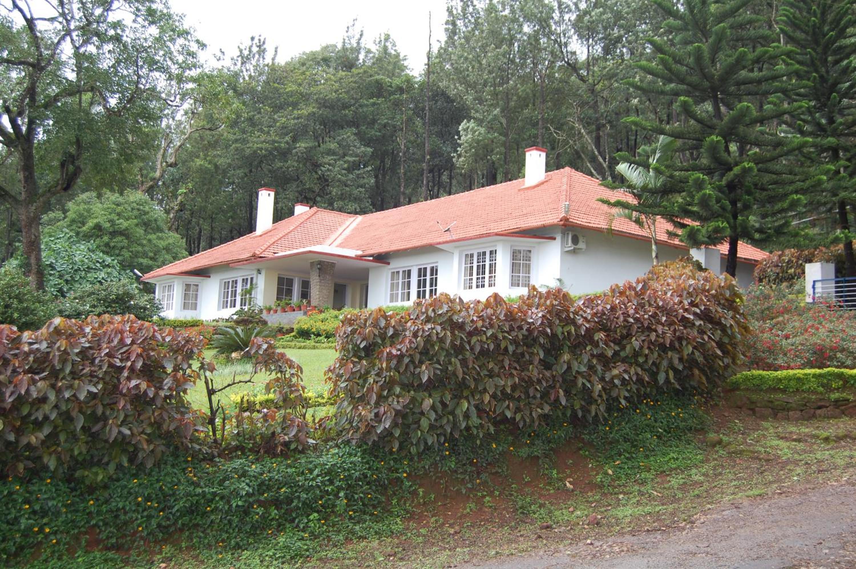Photo 25