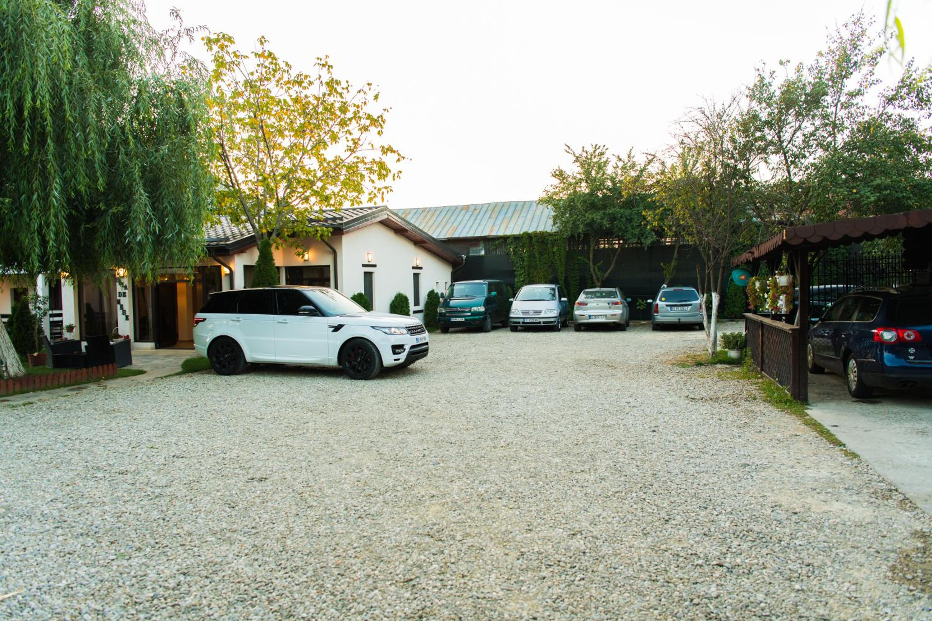 Photo 31
