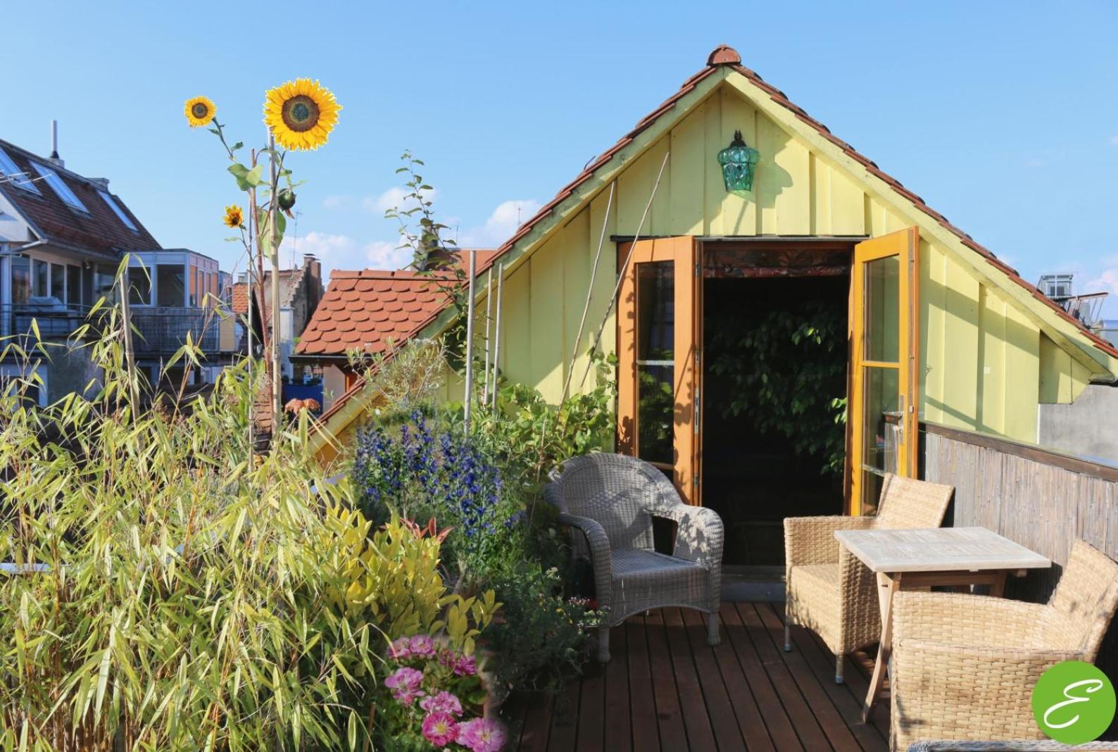 Bio-Ferienwohnung Ellensohn view 2