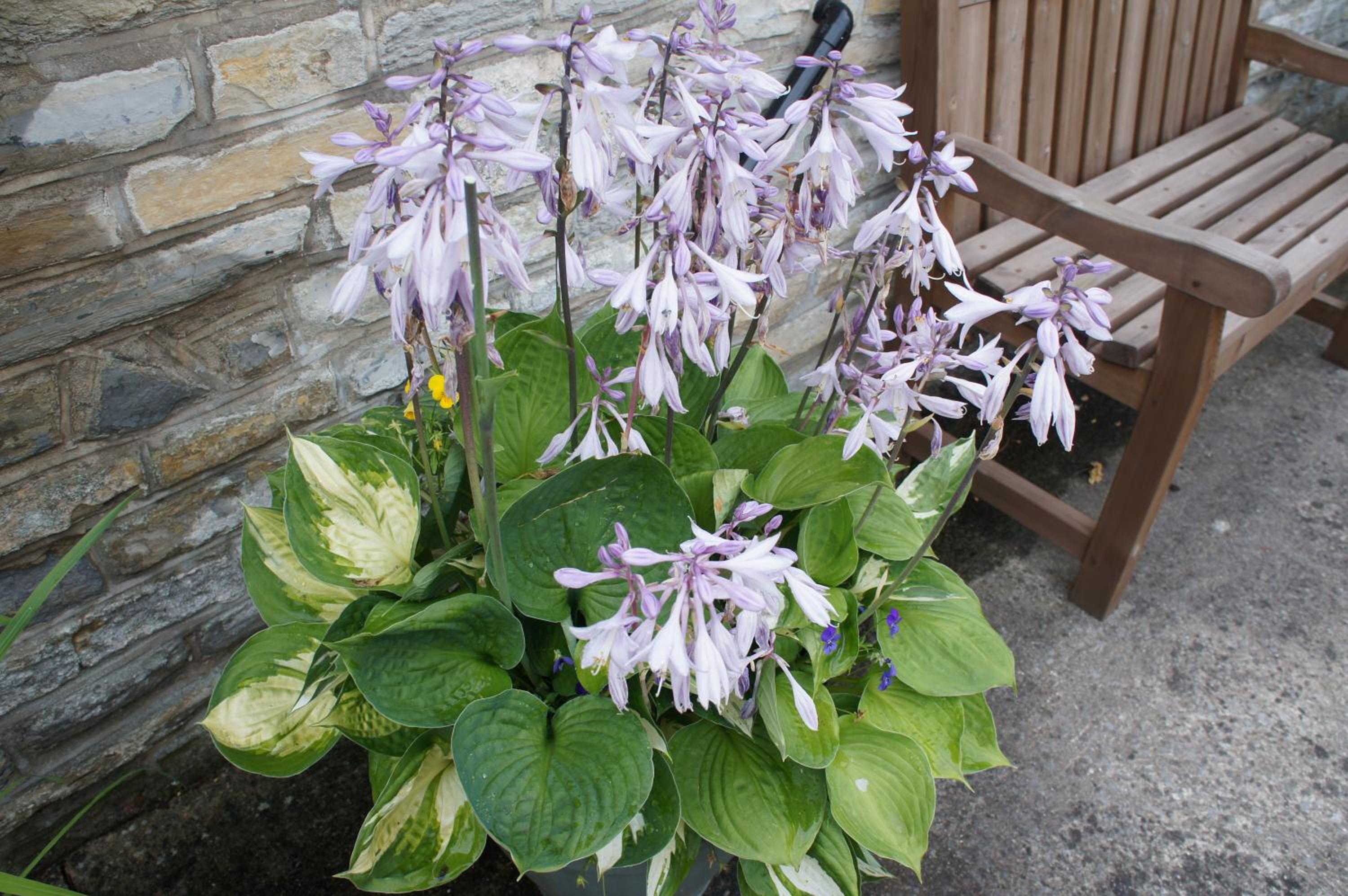 Photo 19