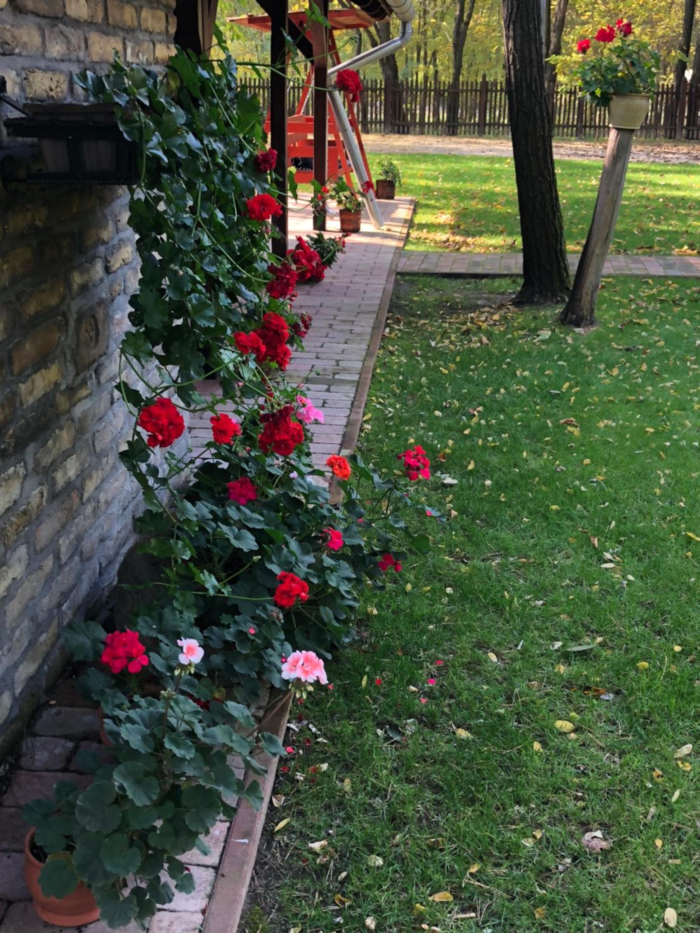 Photo 37