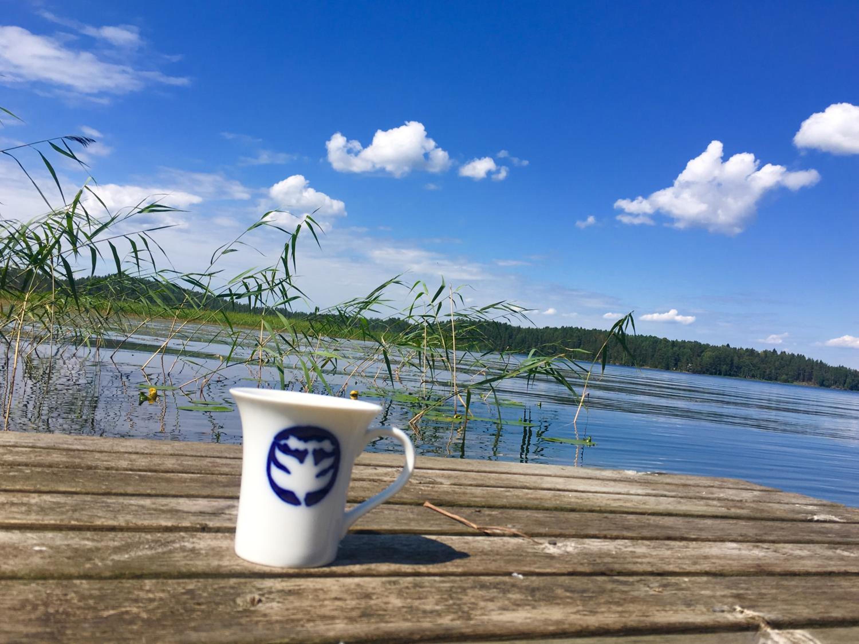 Blueberry Villa at Saimaa Lakeside