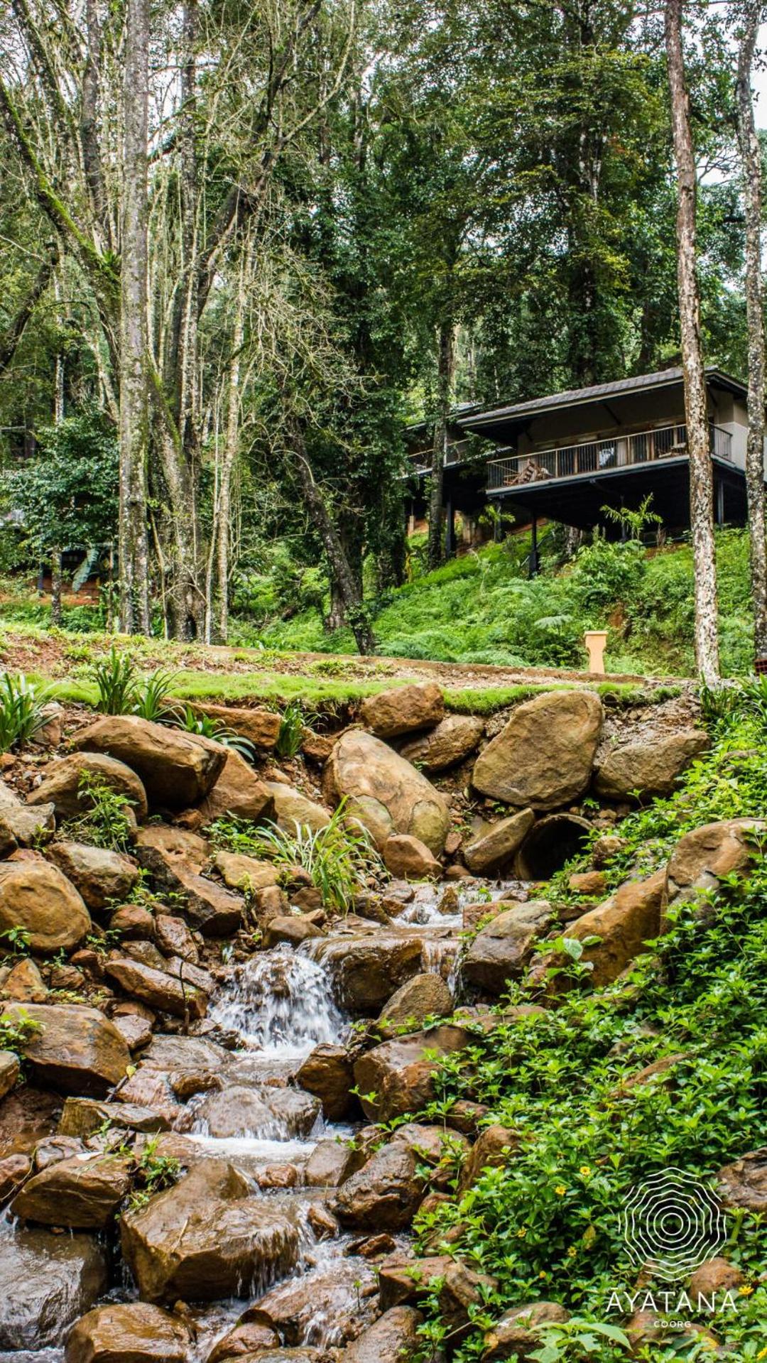 Ayatana Coorg 49