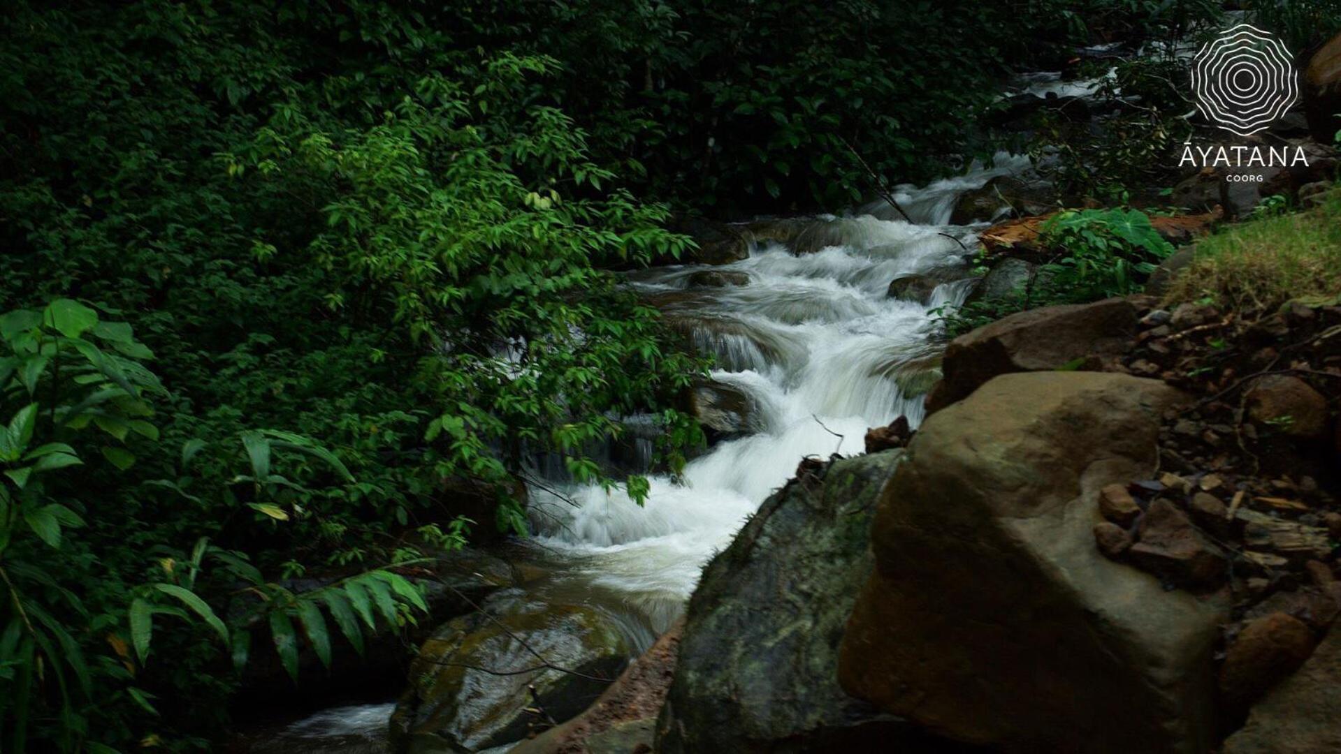 Ayatana Coorg 24