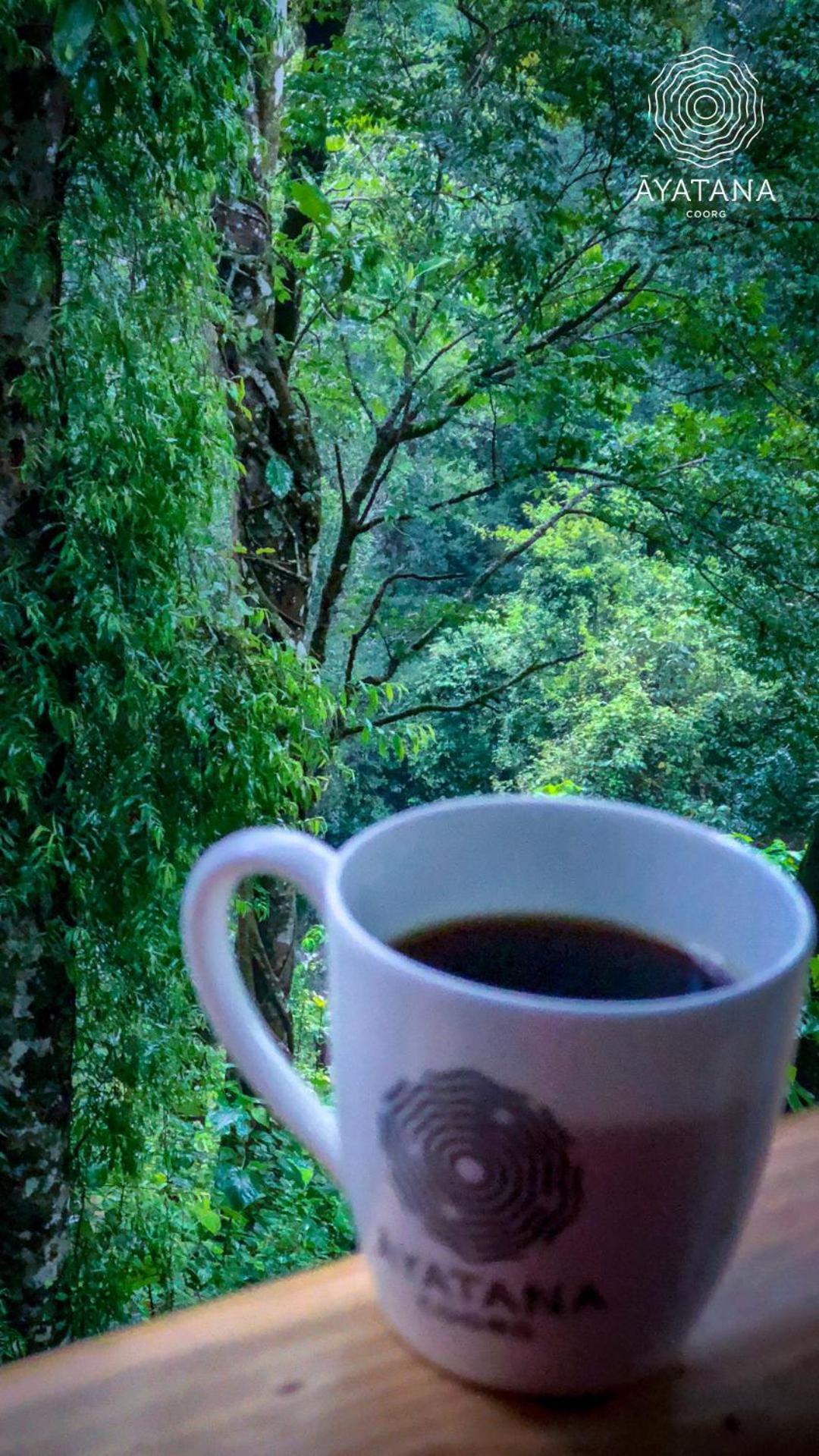Ayatana Coorg 22