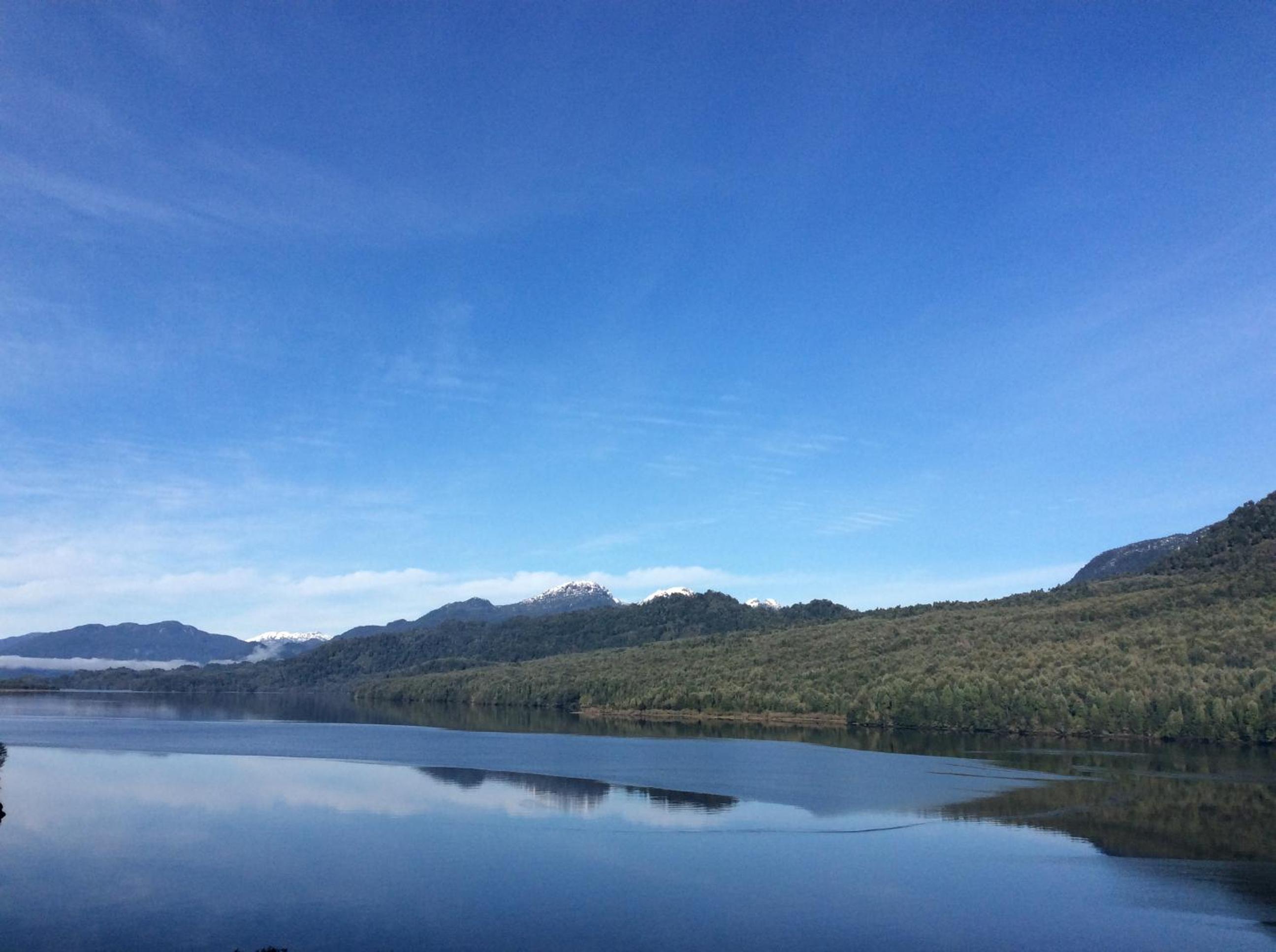 Los Mañíos Del Queulat Puyuhuapi