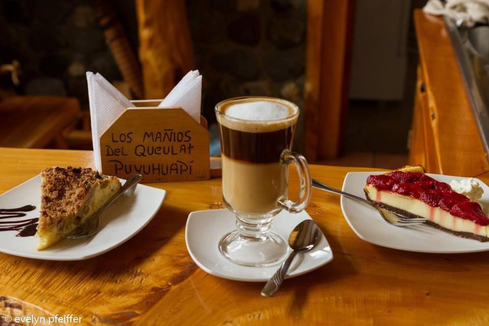 Los Mañíos Del Queulat Puyuhuapi