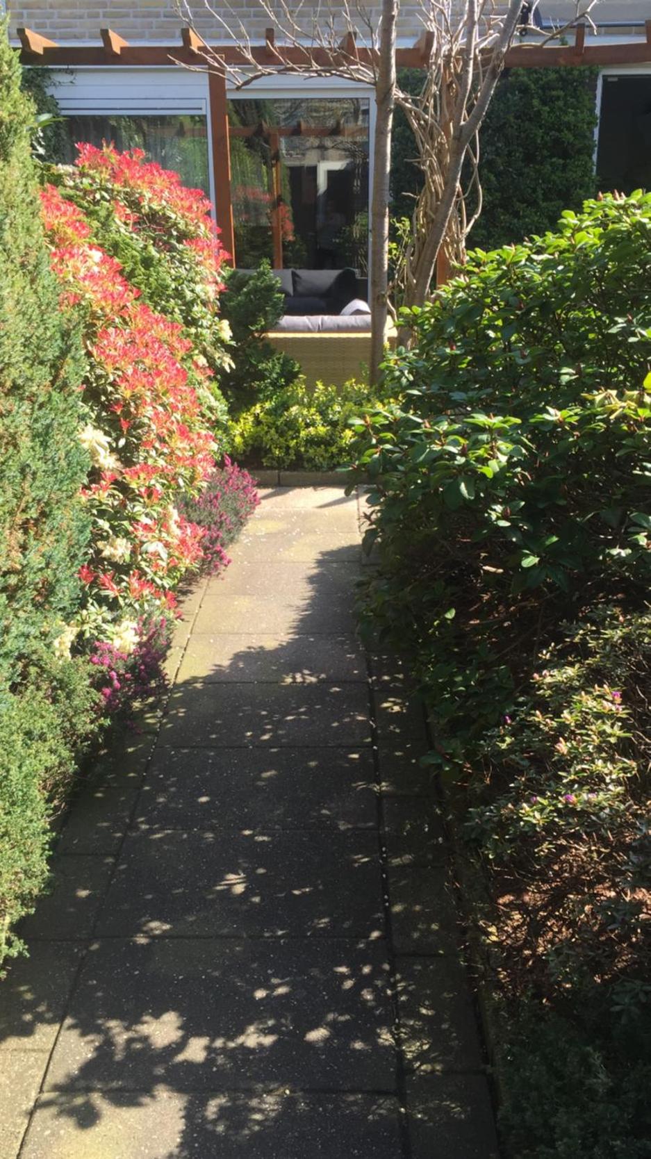 Photo 16