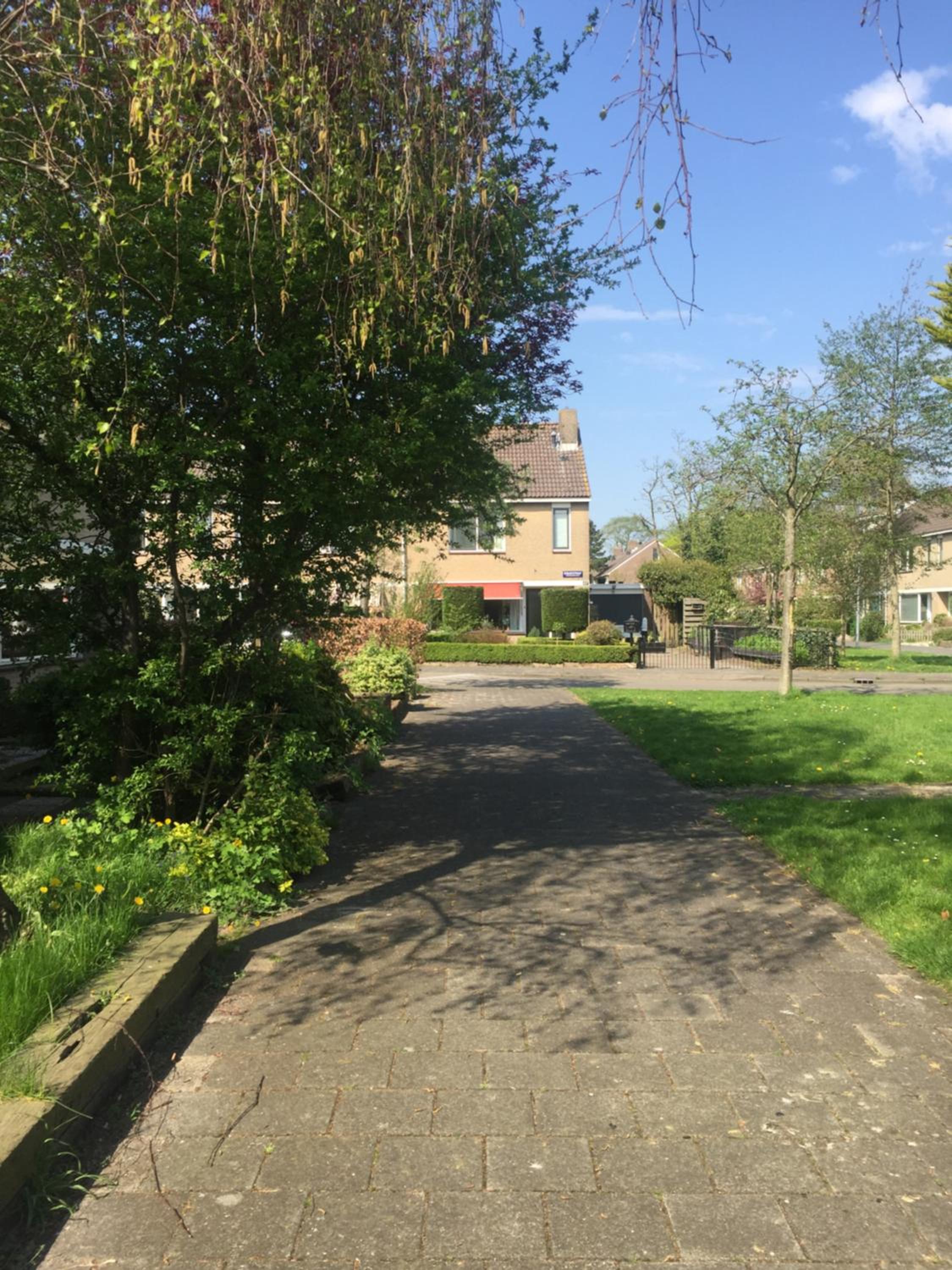Photo 17
