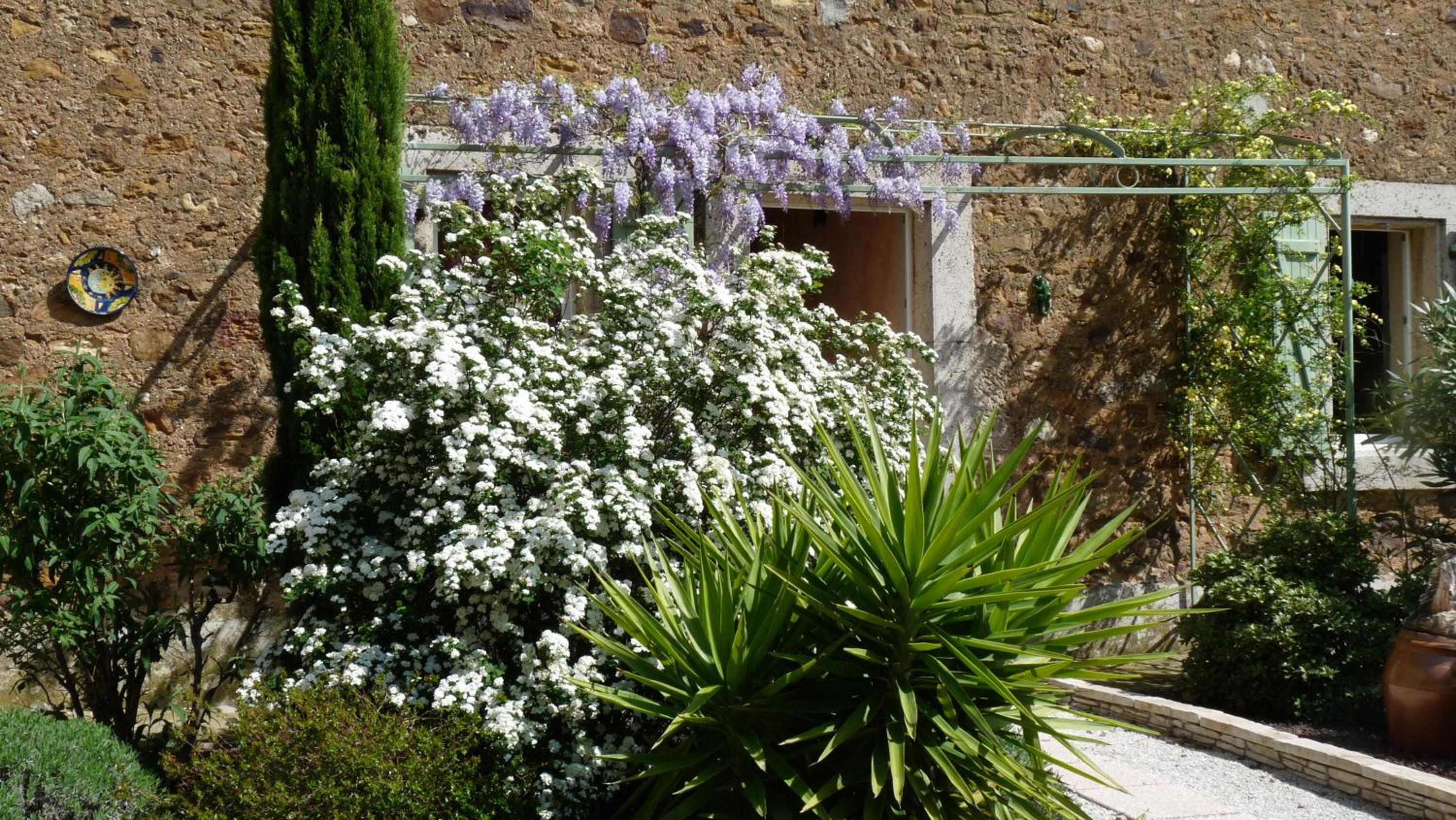 Photo 43