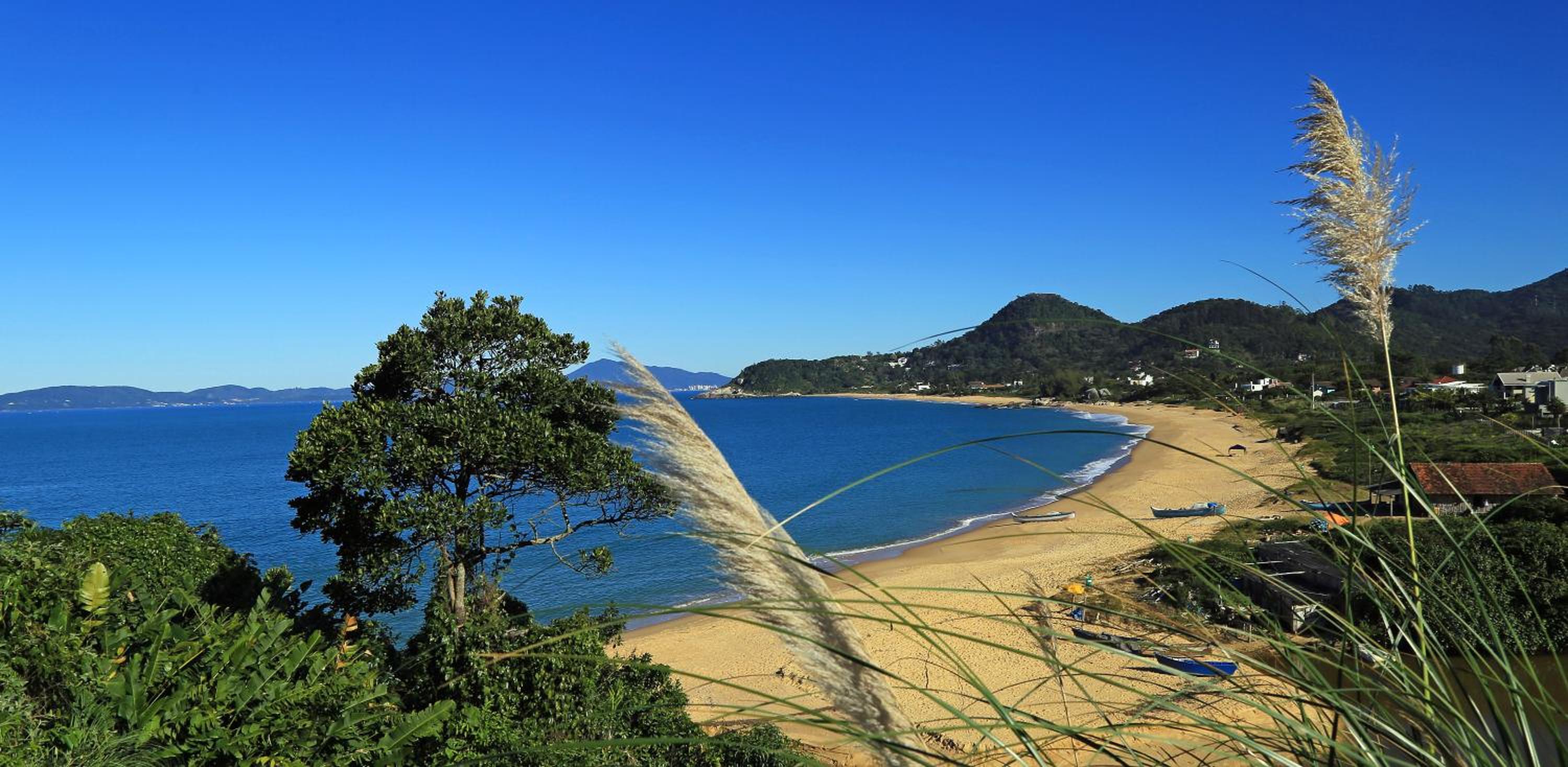 Photo 113