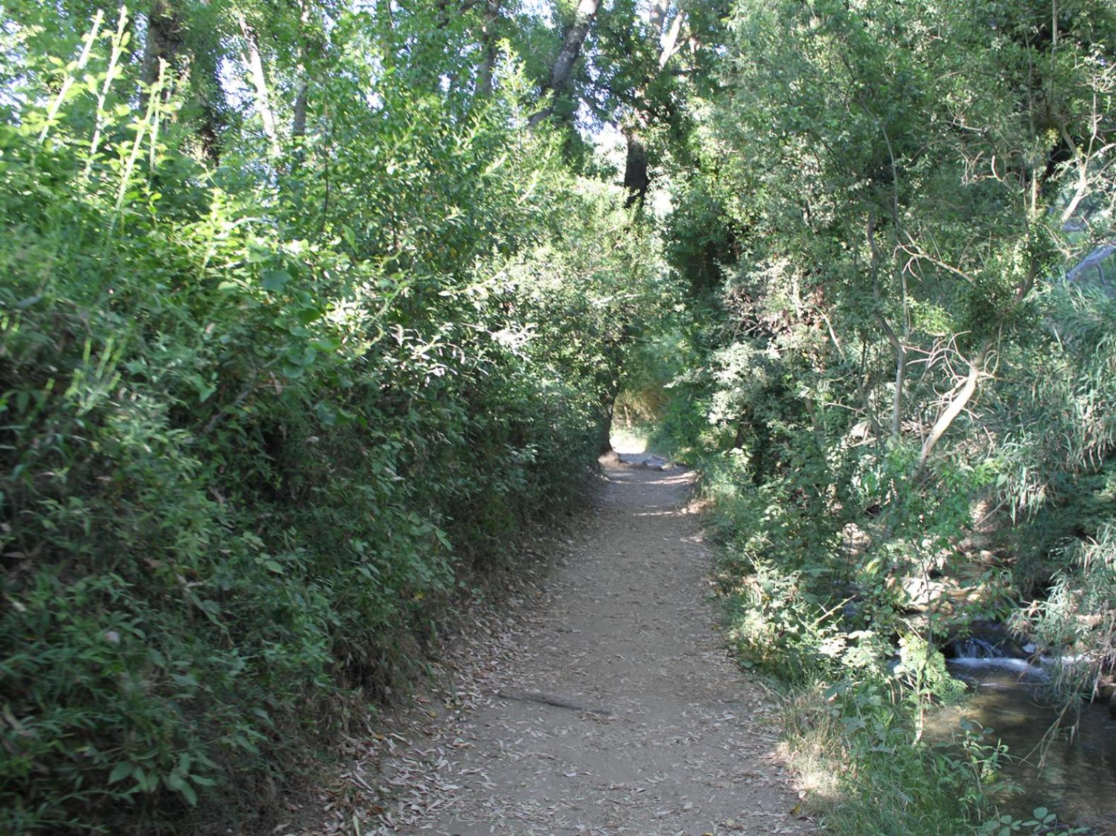 Photo 24