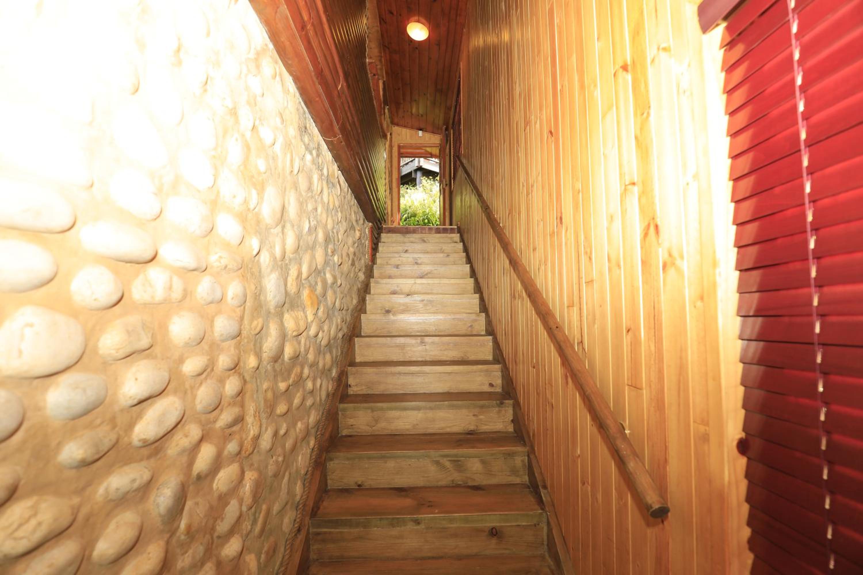 Big Tree House Lodge