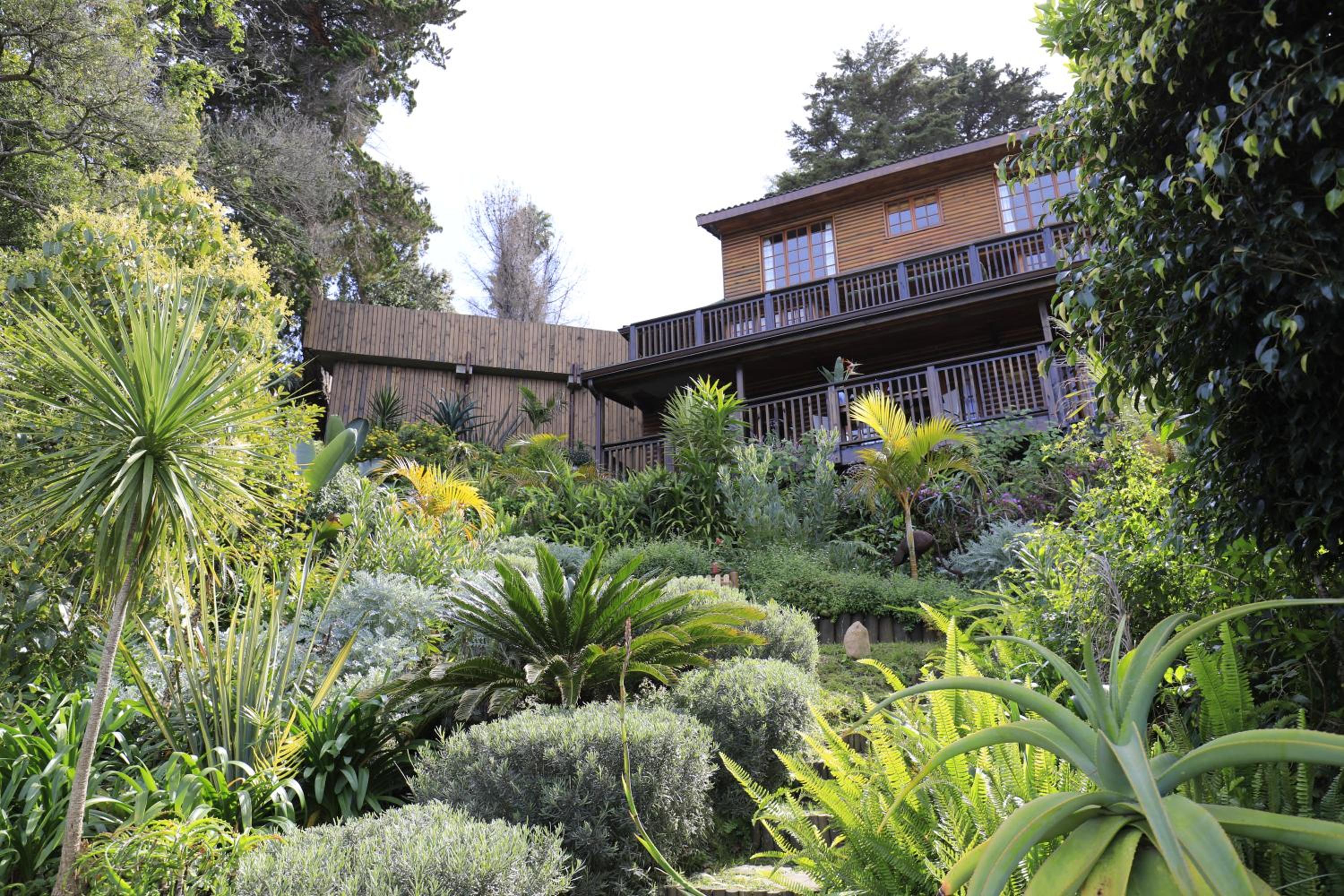 Big Tree House Lodge
