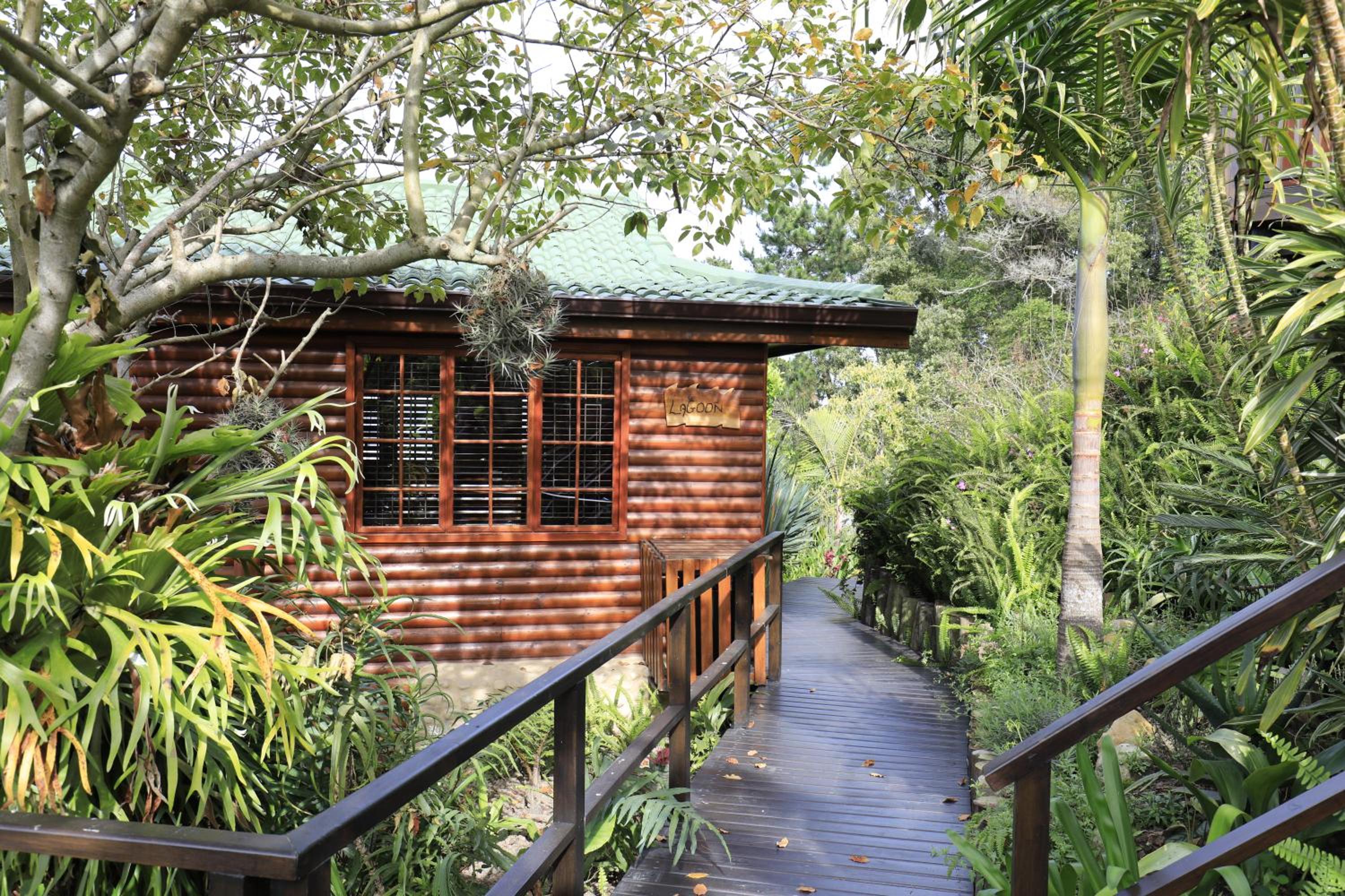 Big Tree House Lodge
