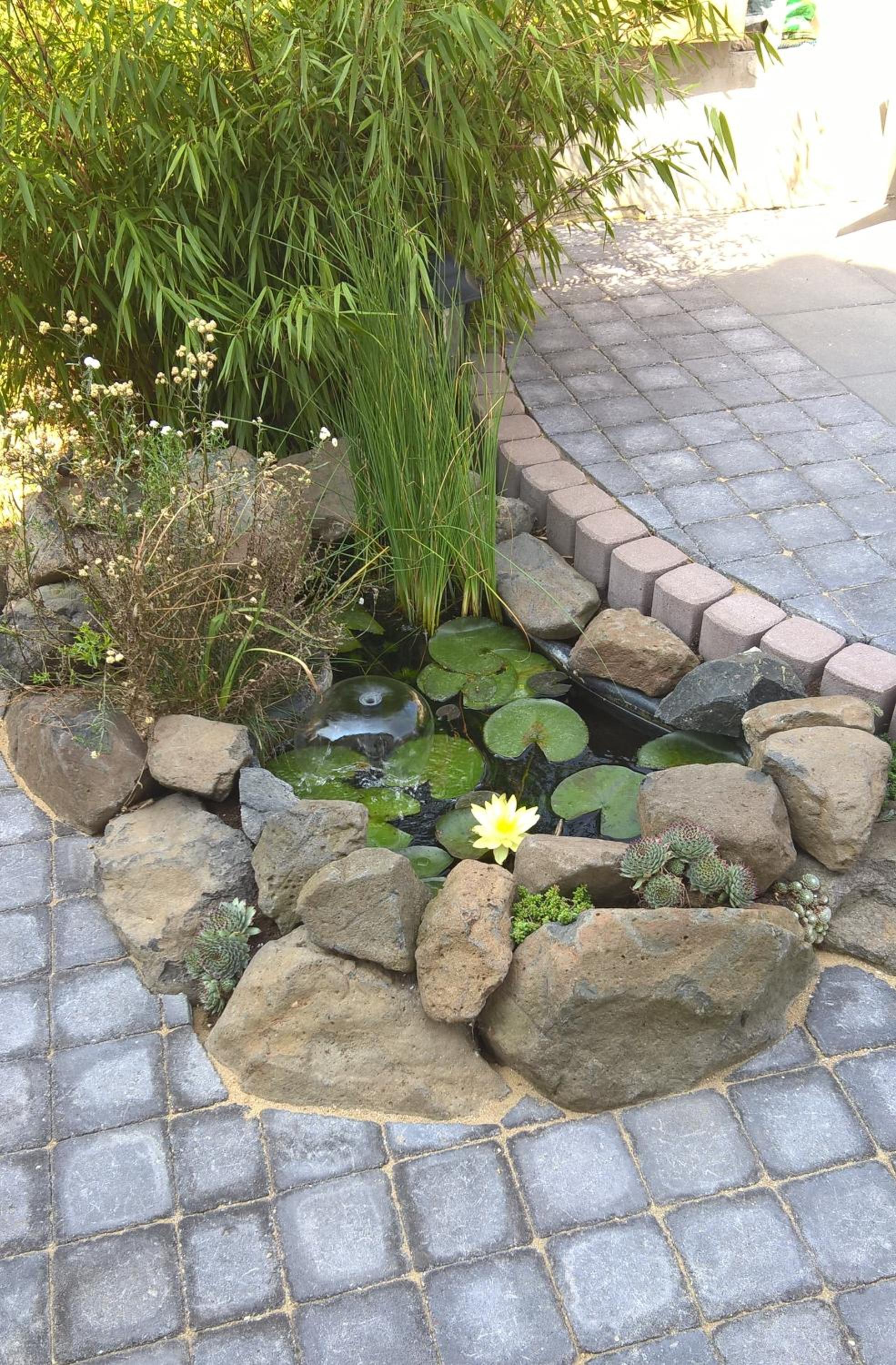 Photo 29