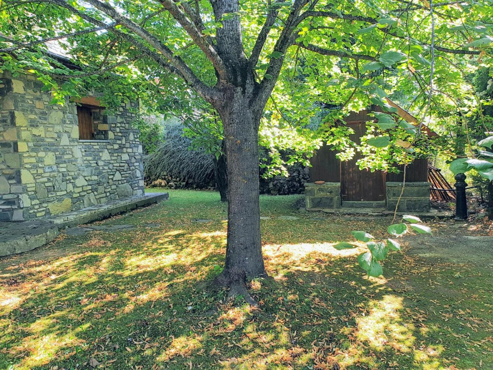 Photo 46