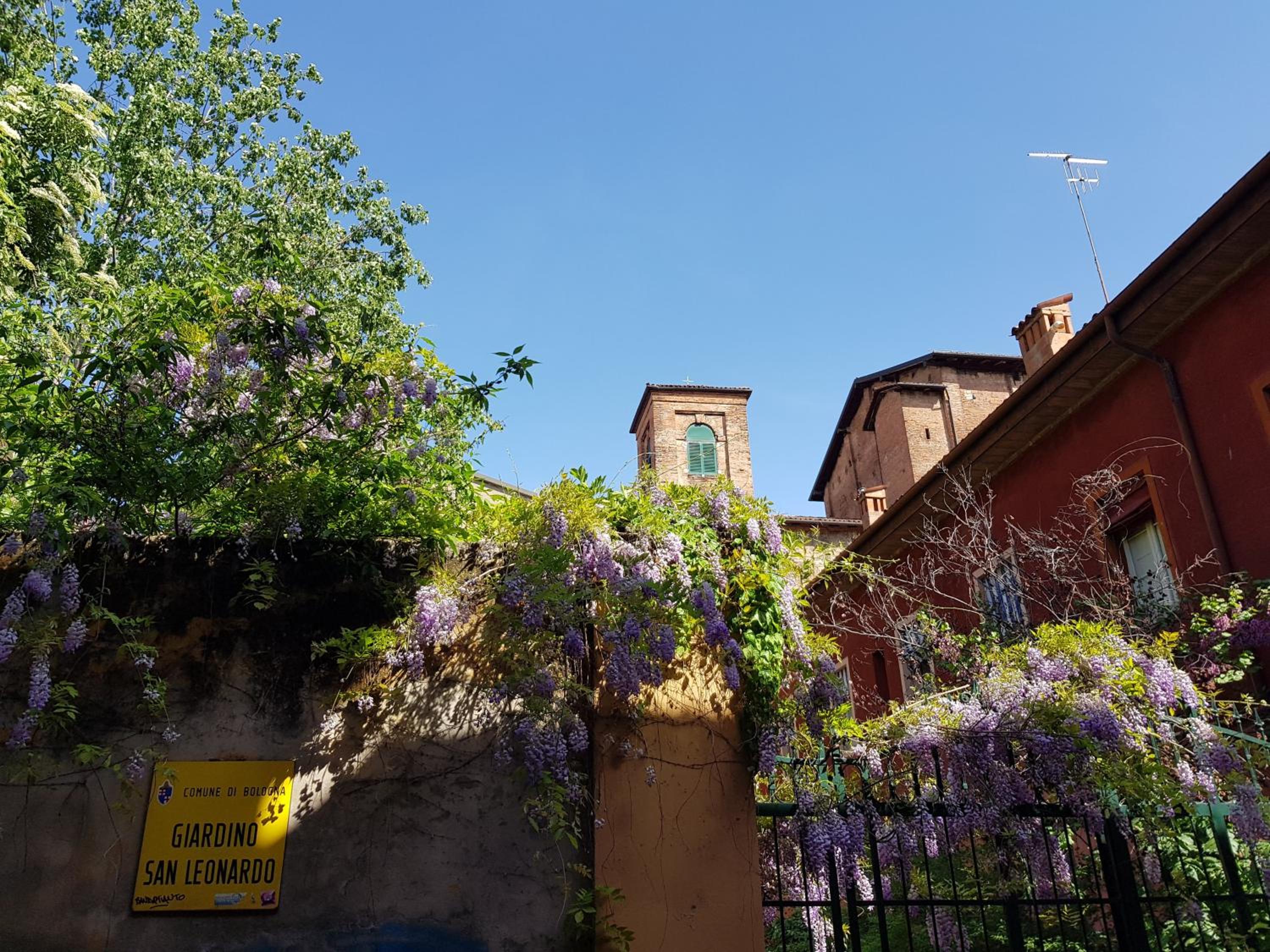 Photo 17