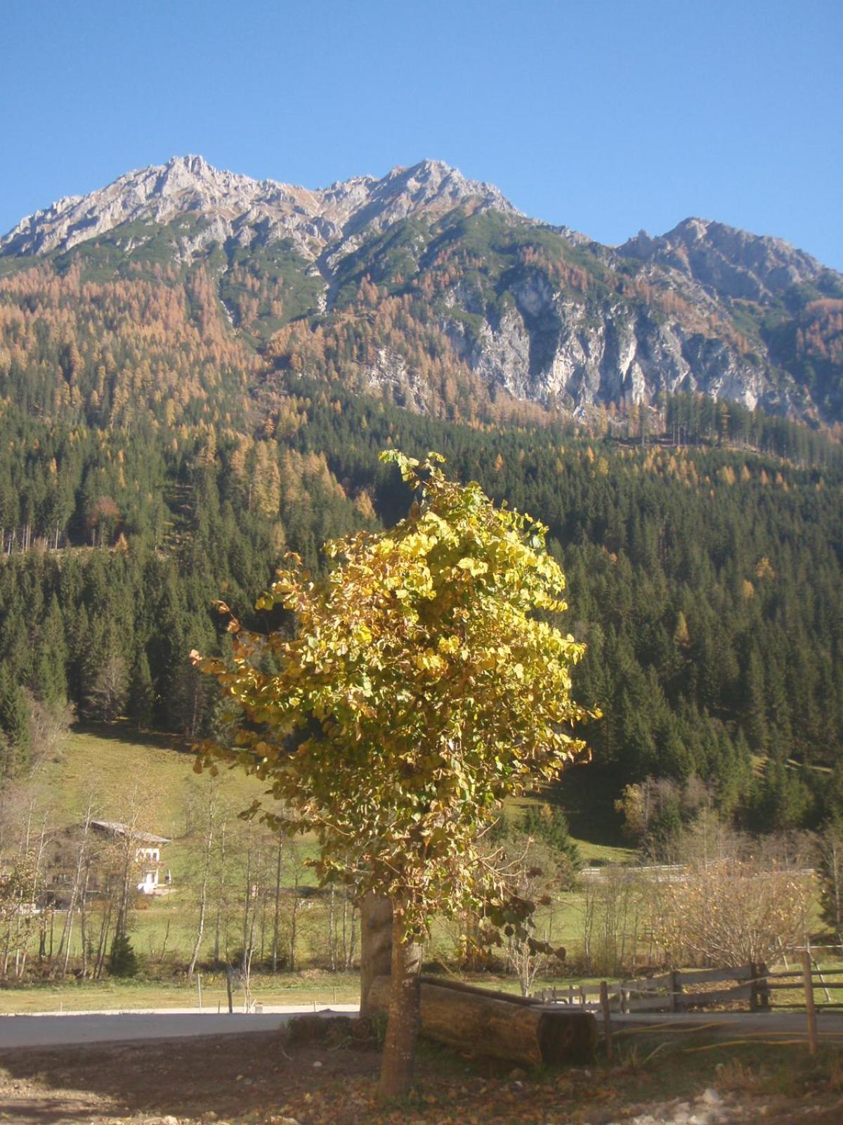 Photo 42