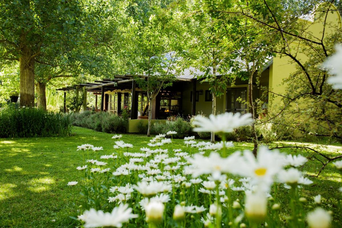 garden