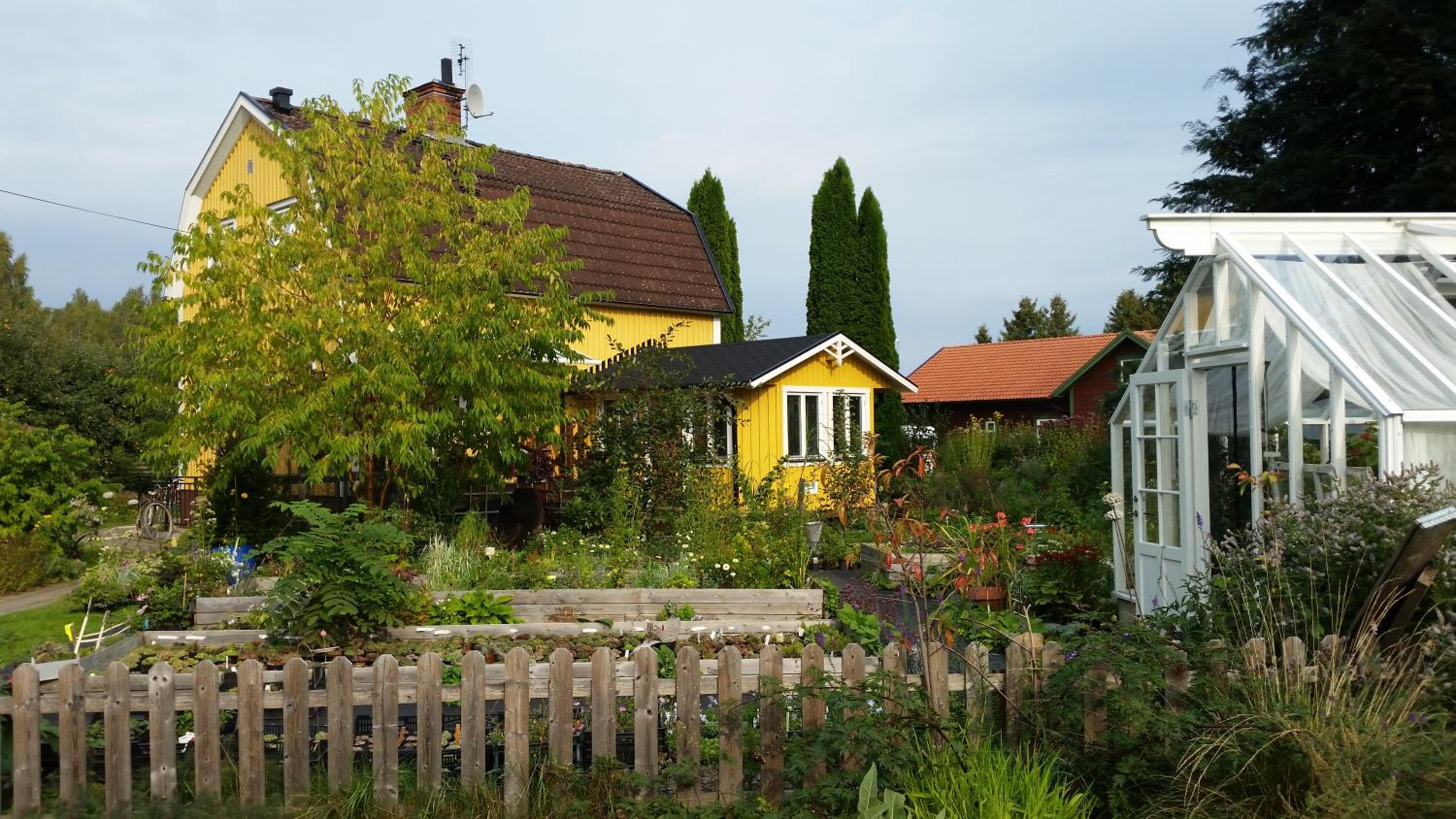 Photo 15