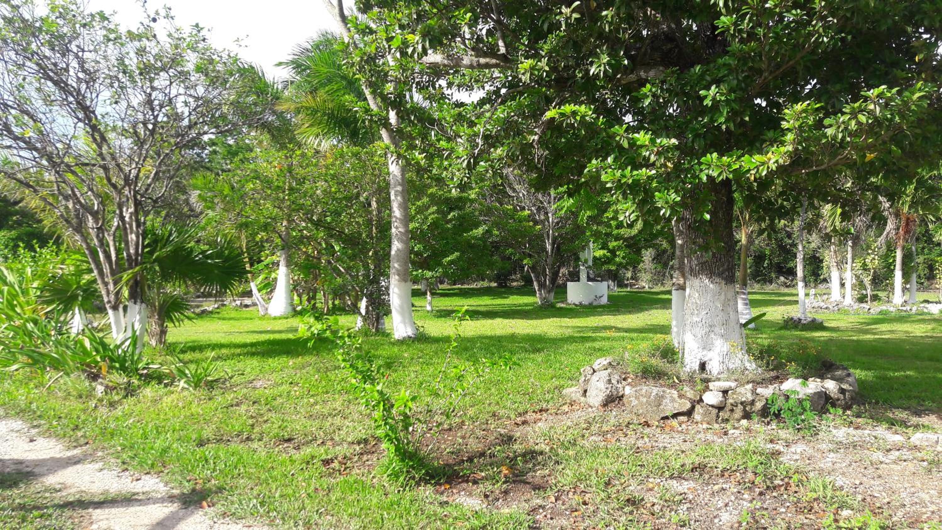 Aldea Isla Sagrada view 3