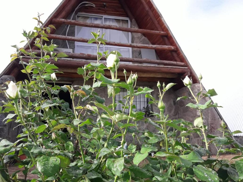 Cabañas Laukan