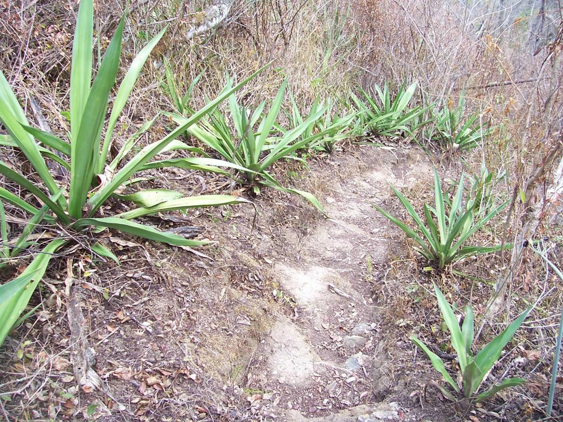 Photo 20
