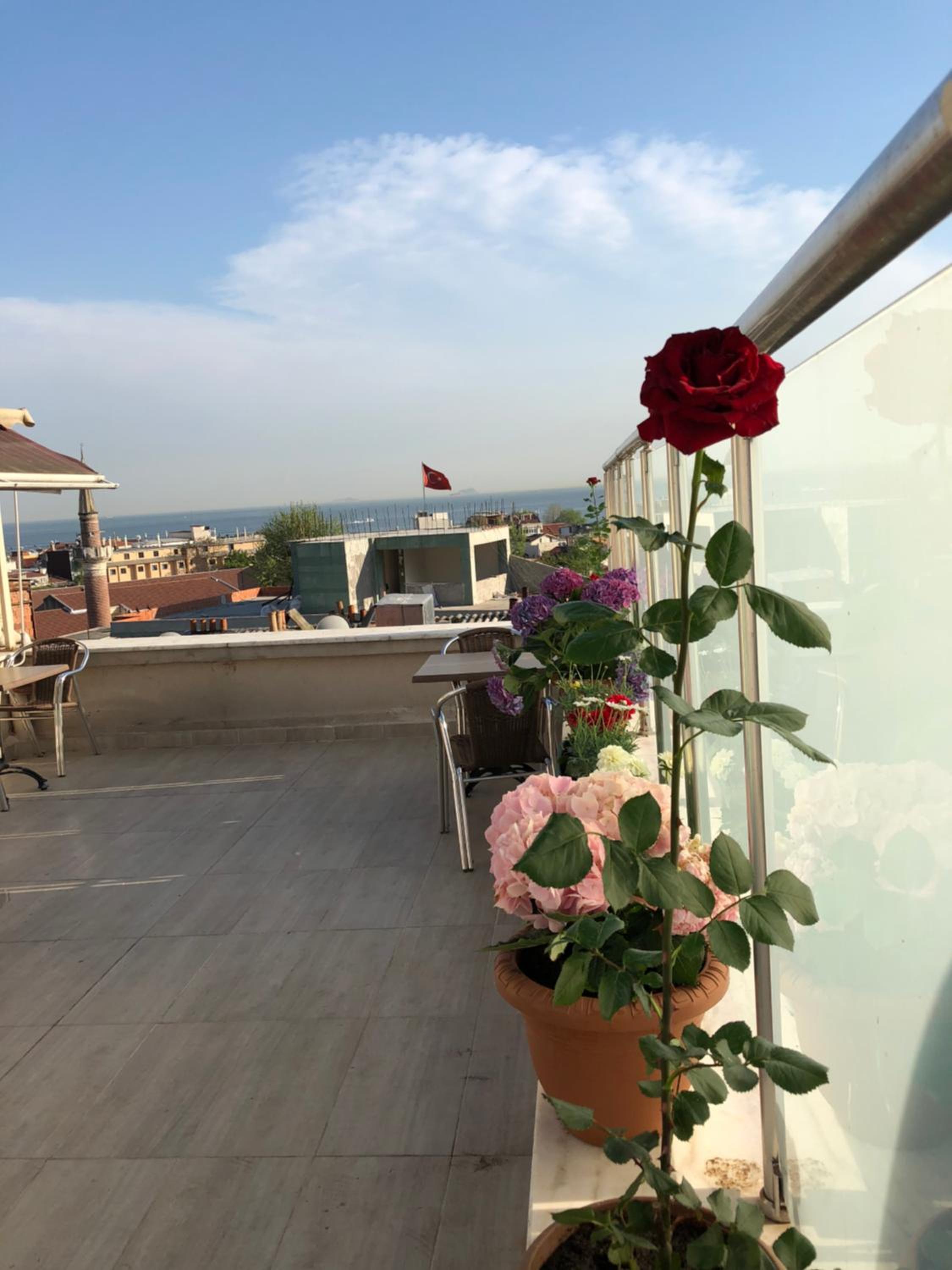 Feyza Apart - Image 18