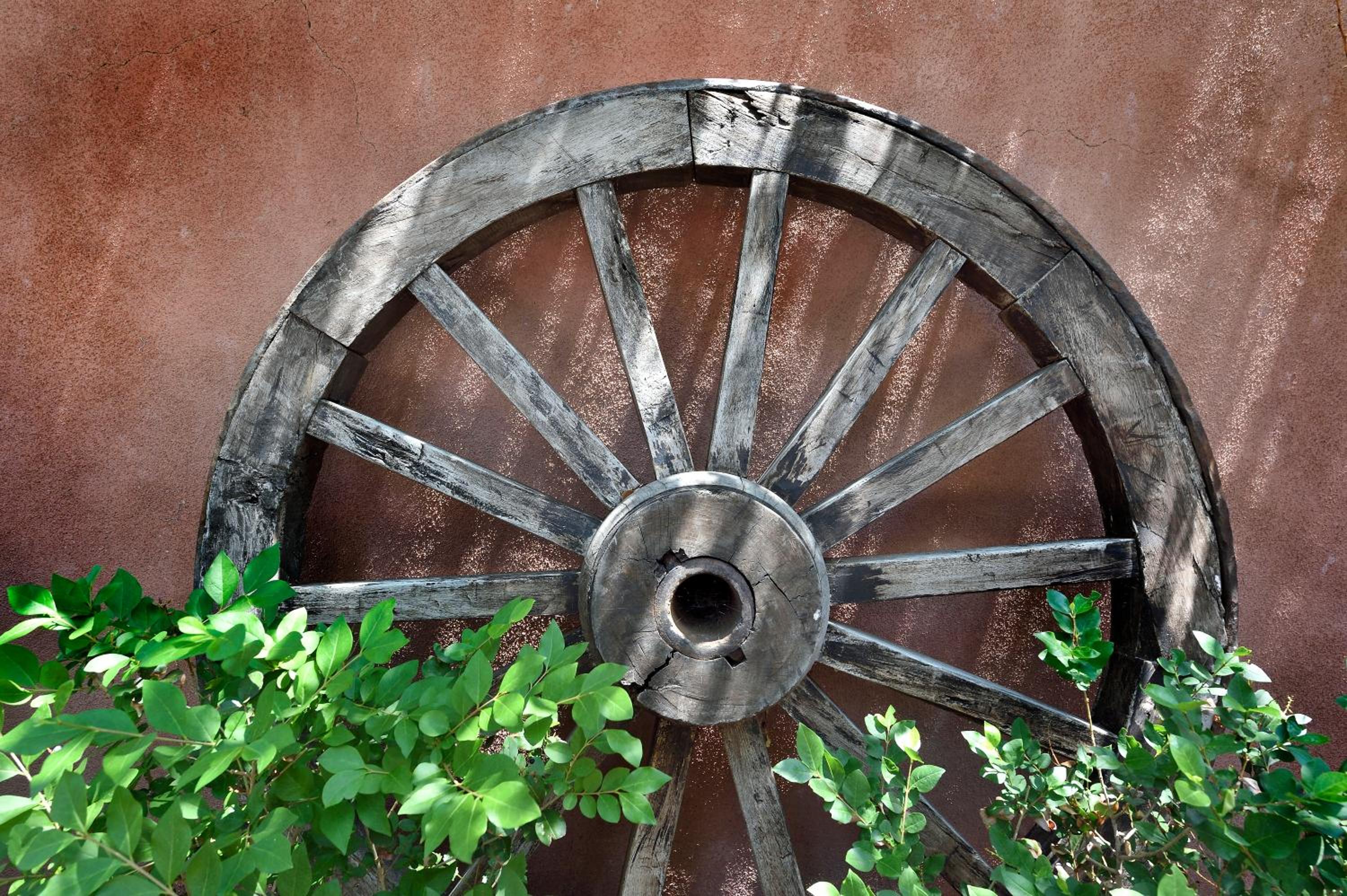 Photo 17