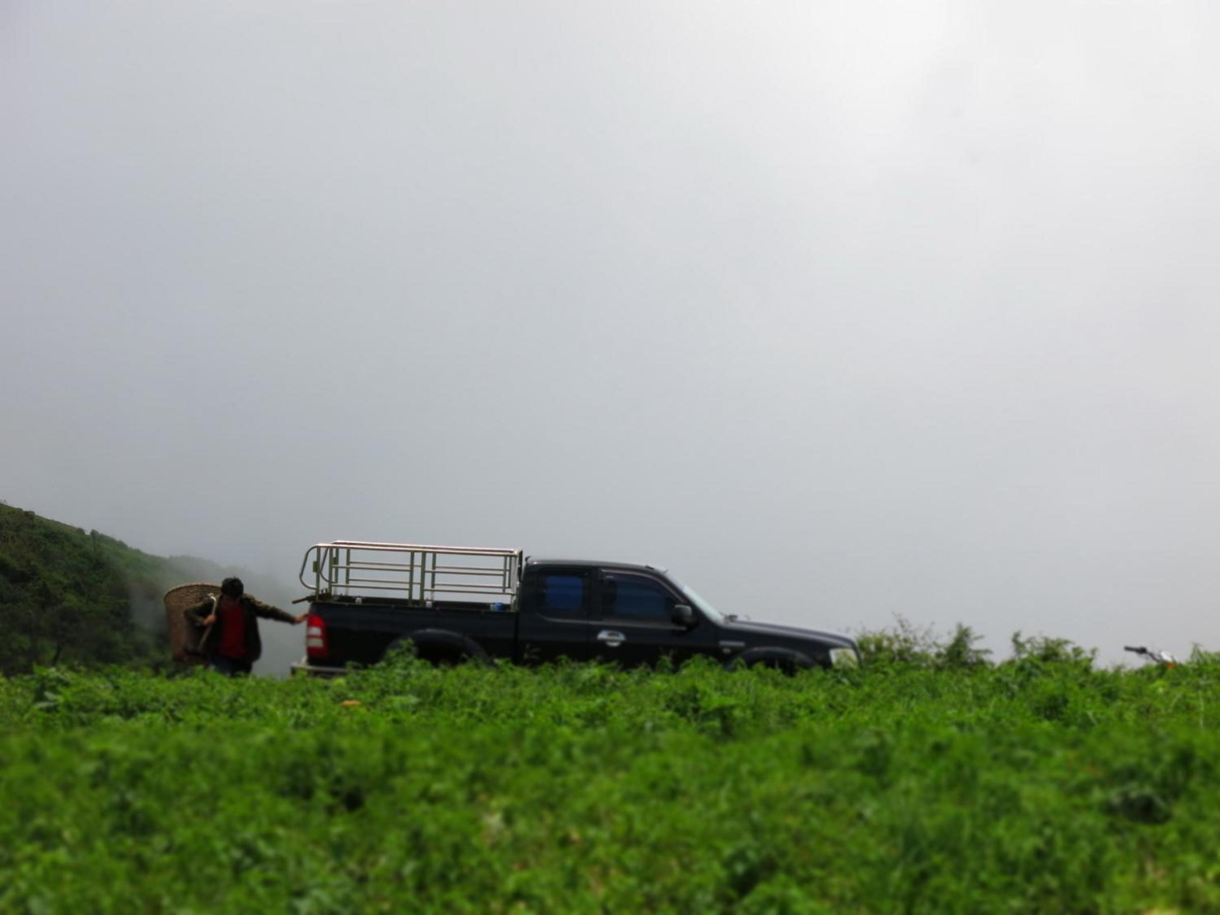 Photo 44