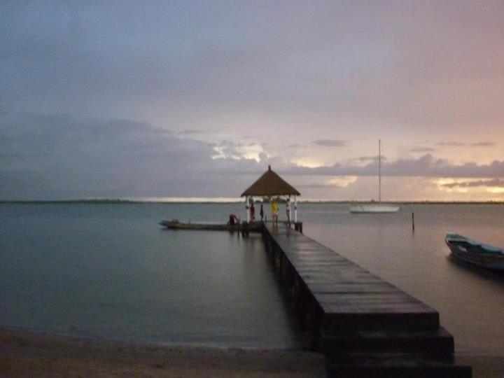 Photo 41
