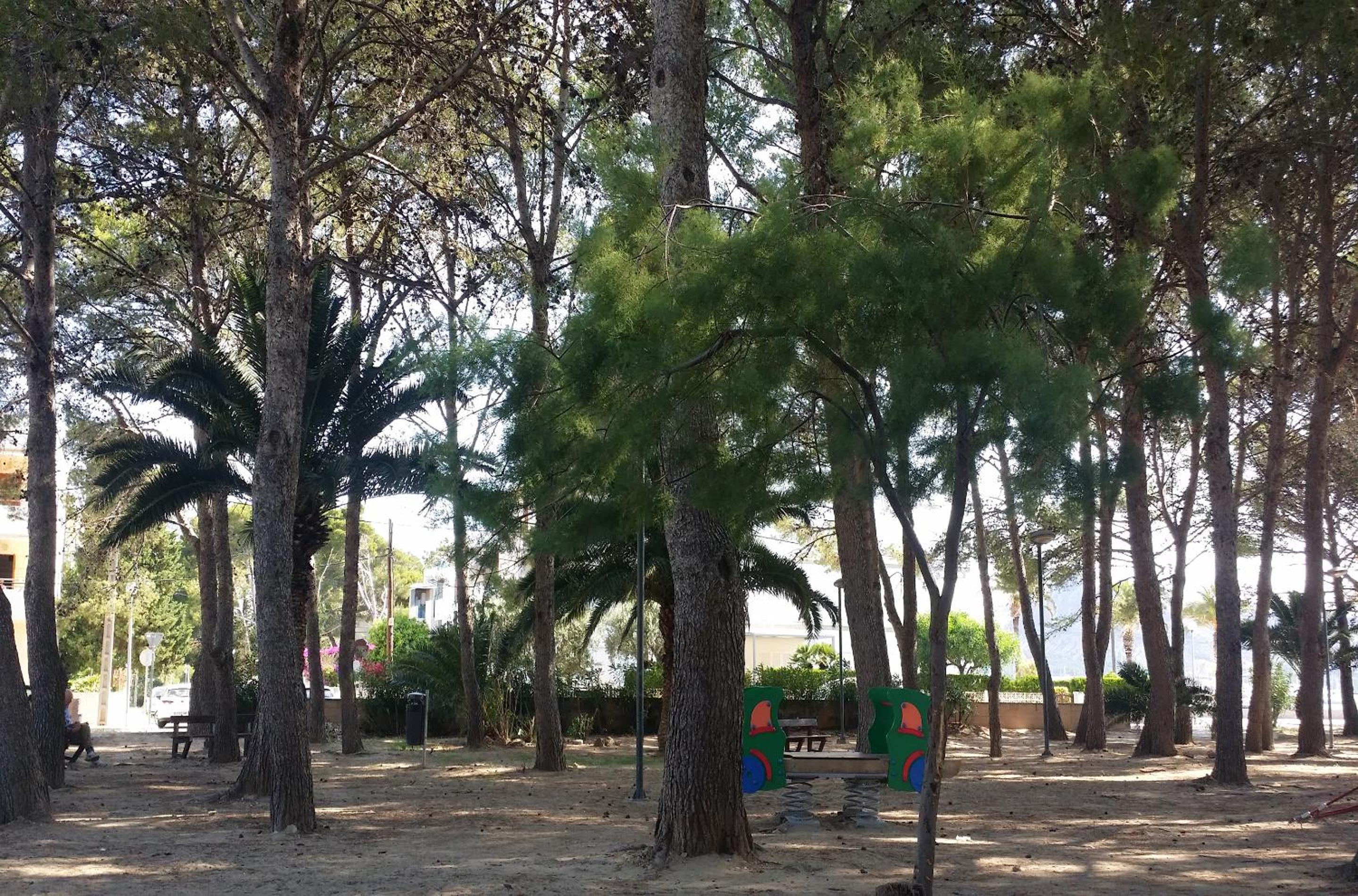 Photo 17