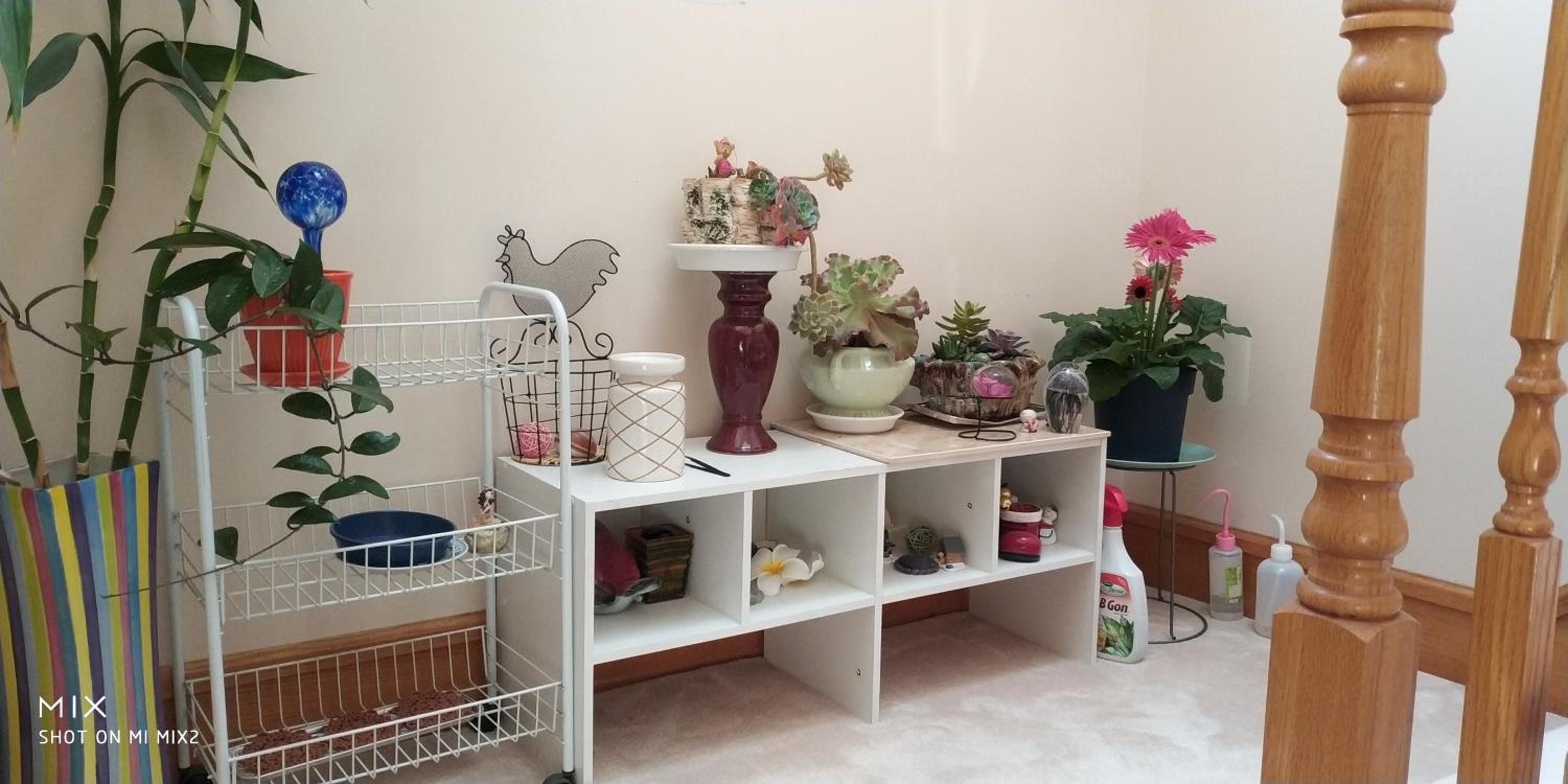 Helen's House / Close to Skytrain and Airport