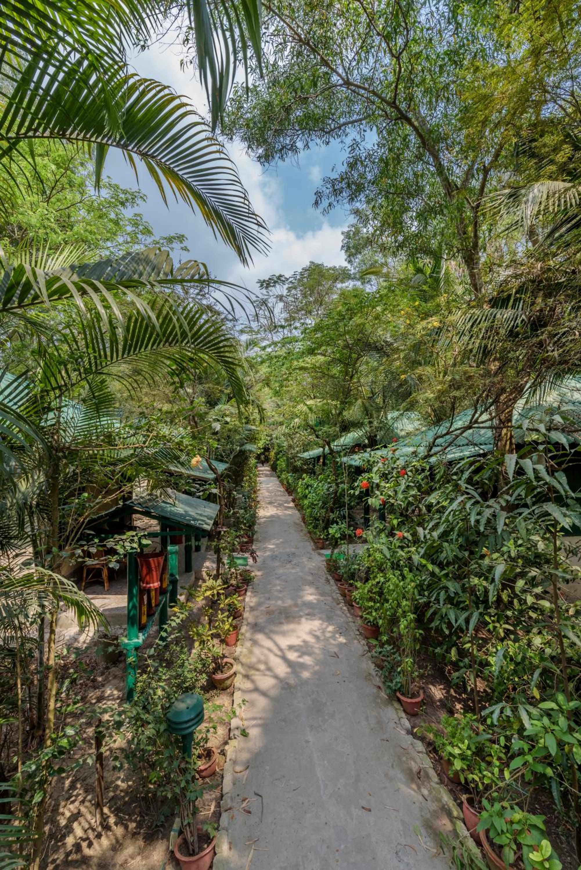 Sunderban Tiger Camp