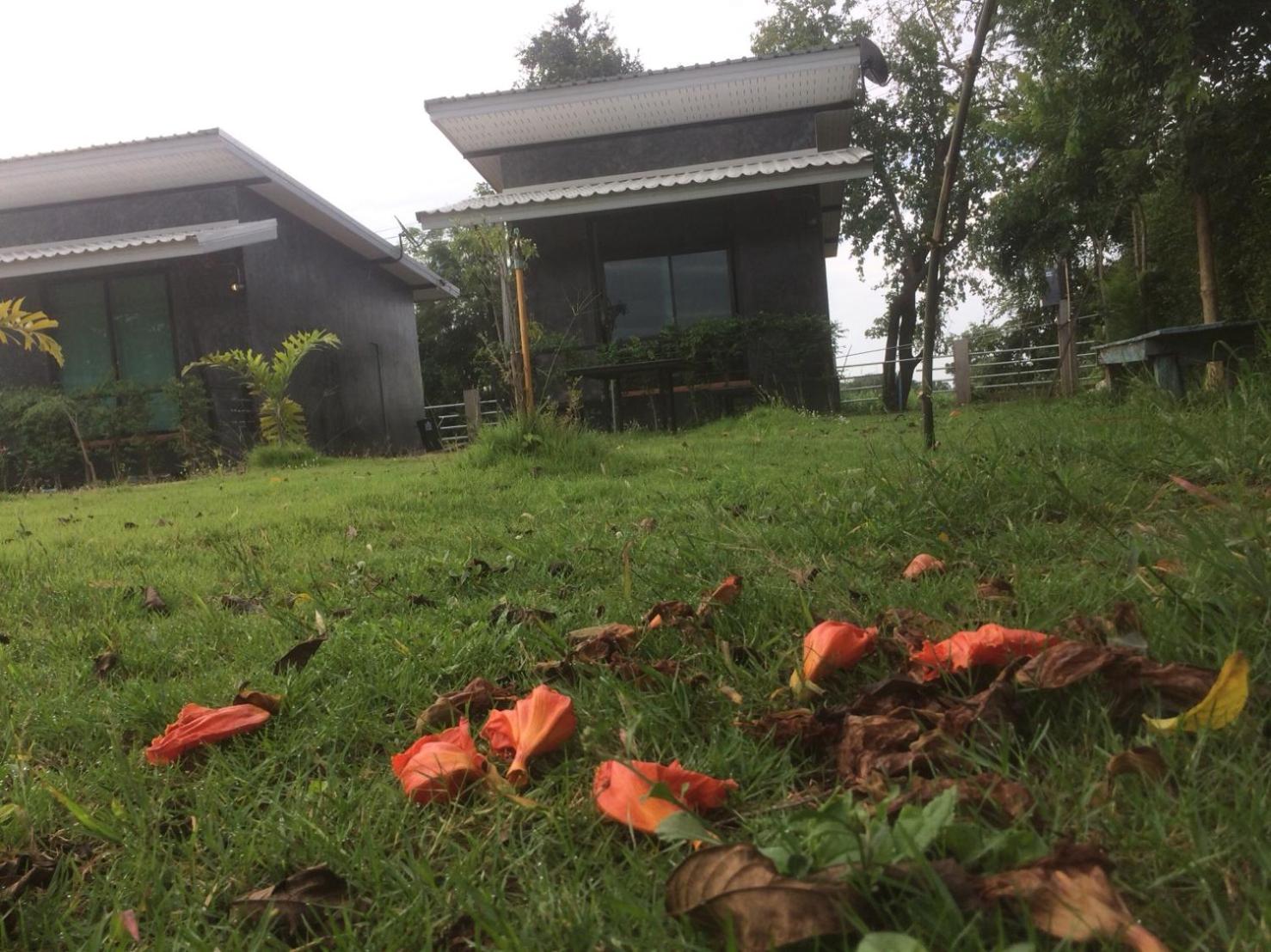 Baan Tonjaeng B&B view 4